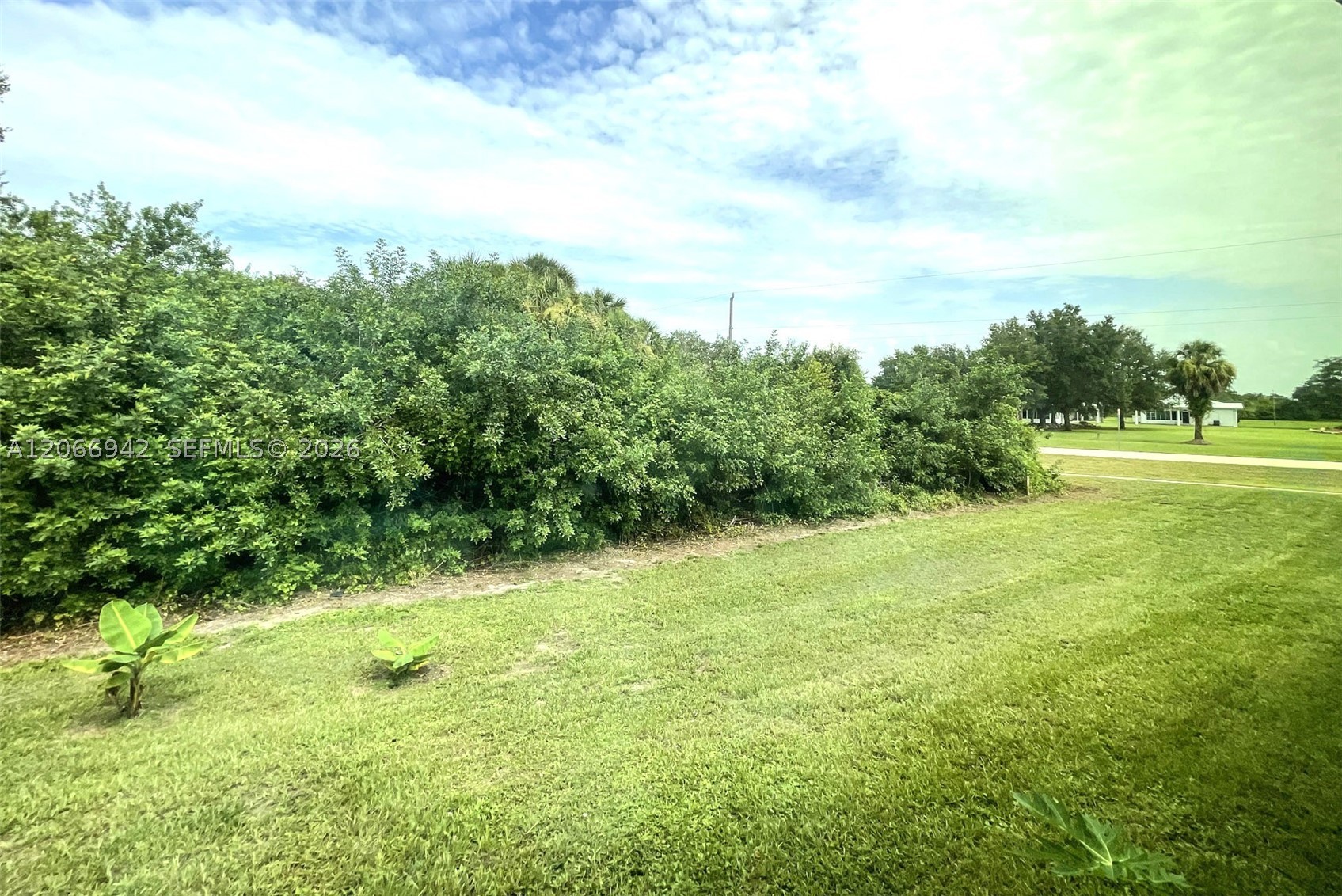main property photo 54