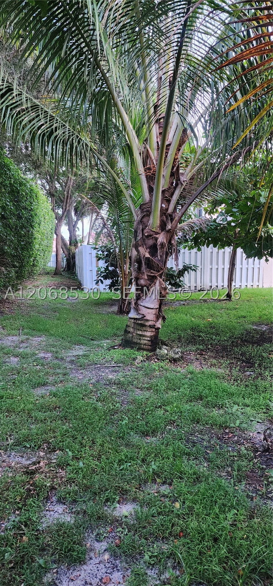 main property photo 51