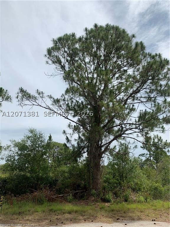 main property photo 6