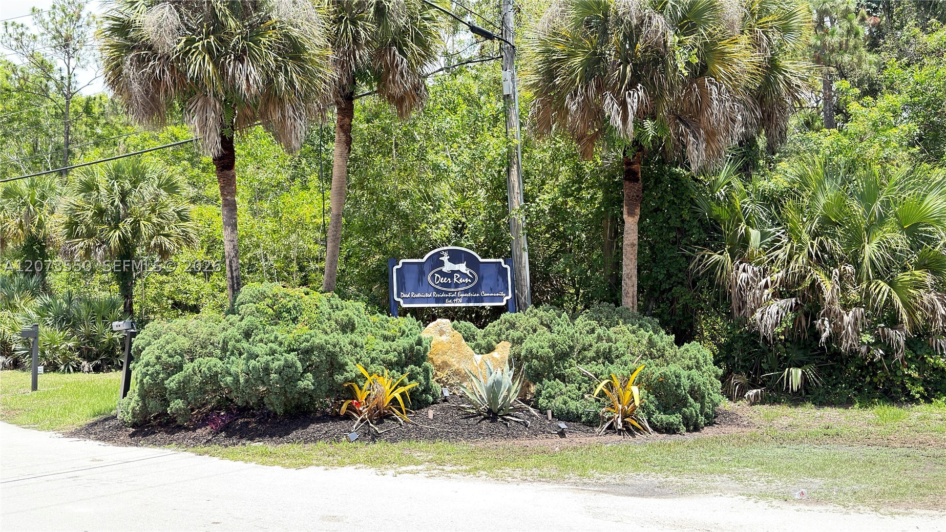 main property photo 99