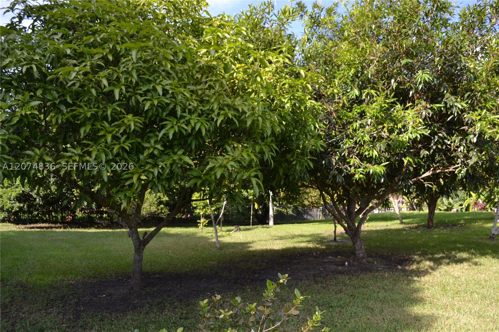 main property photo 51