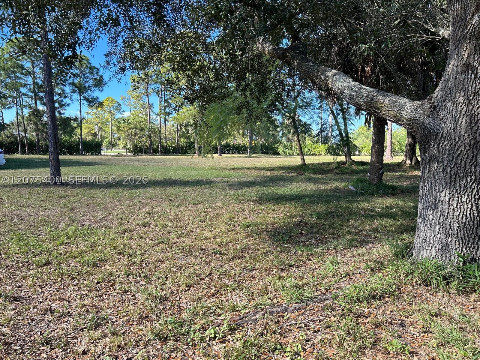 main property photo 11