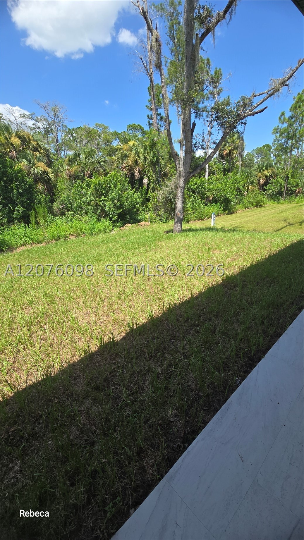 main property photo 42