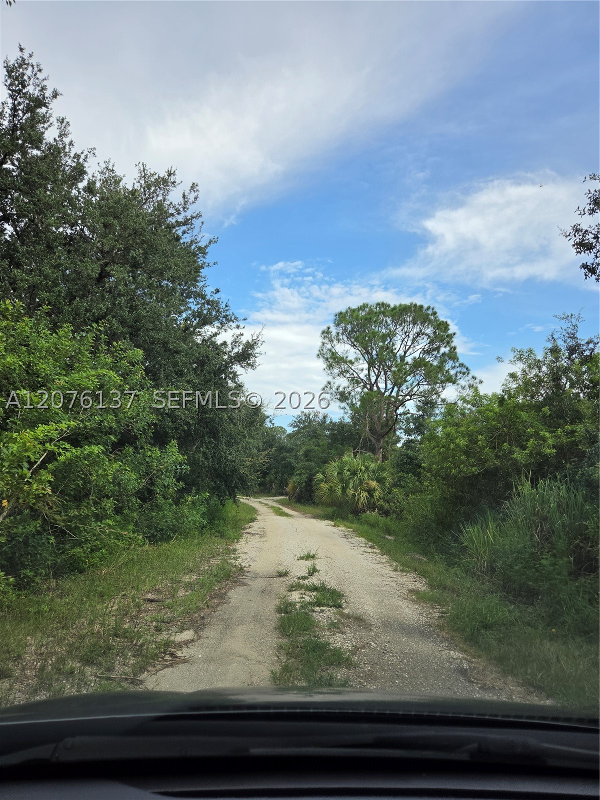 main property photo 32
