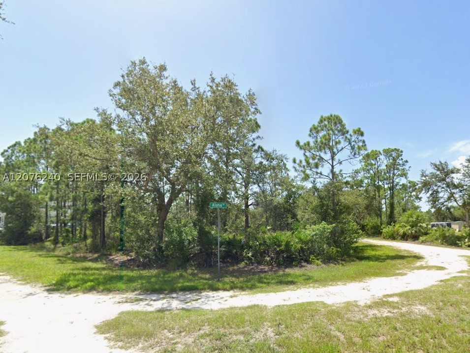 main property photo 5