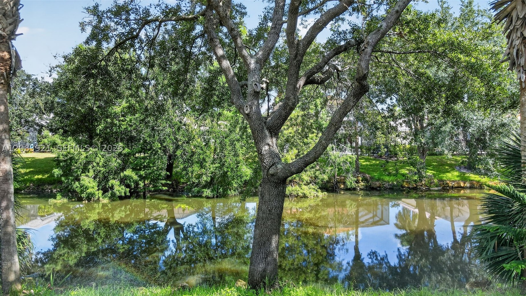 main property photo 74