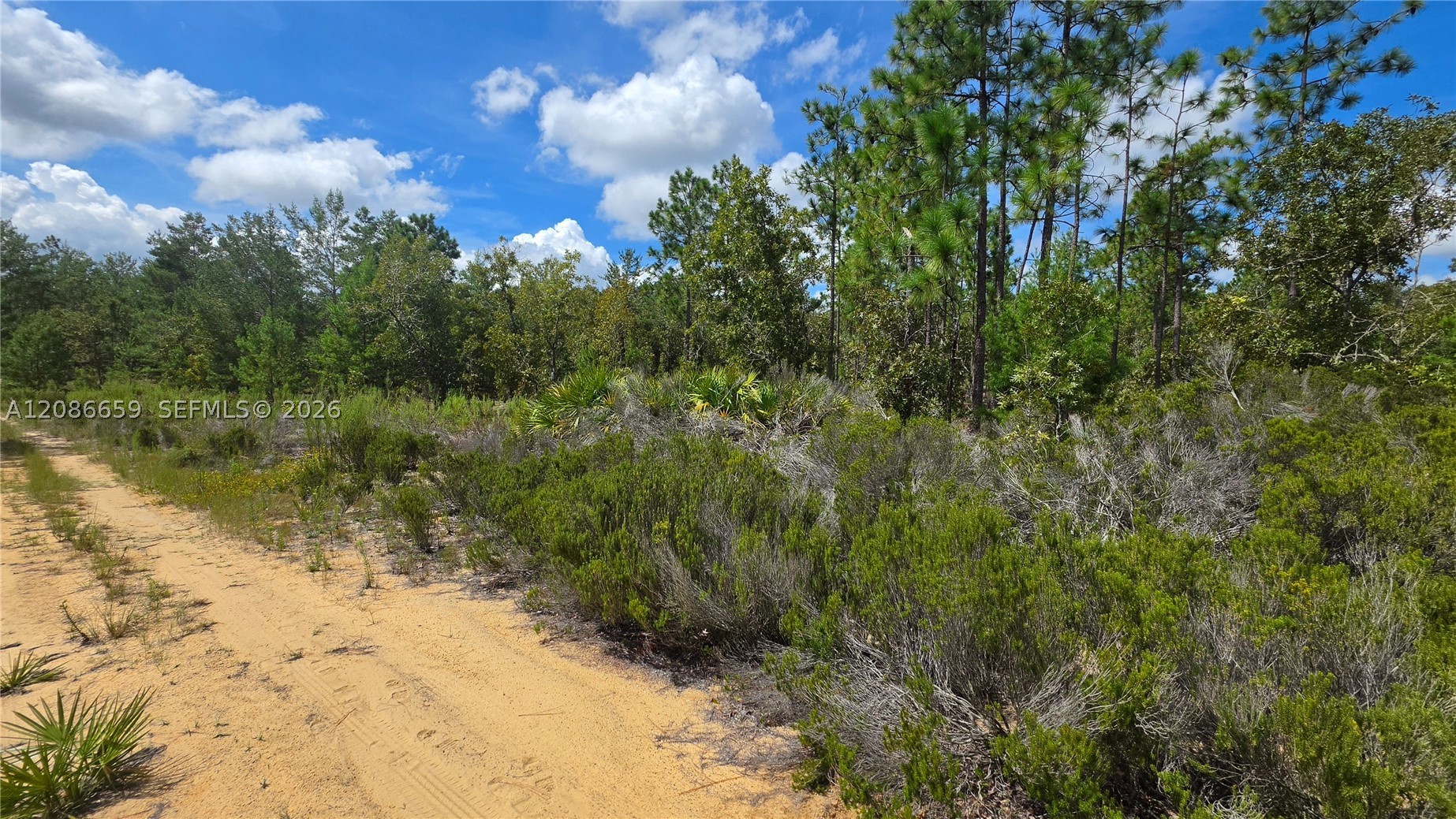 main property photo 22