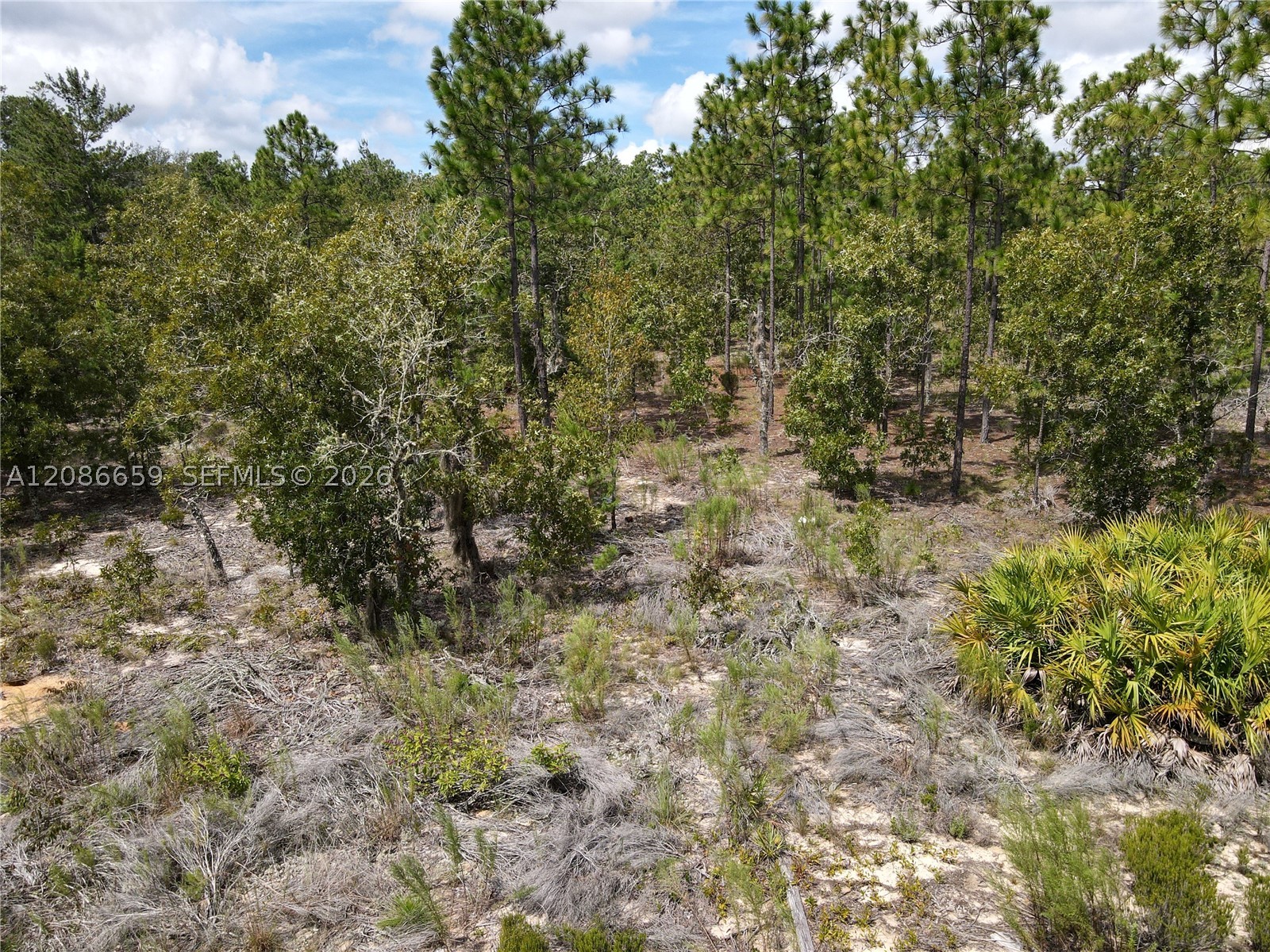 main property photo 26