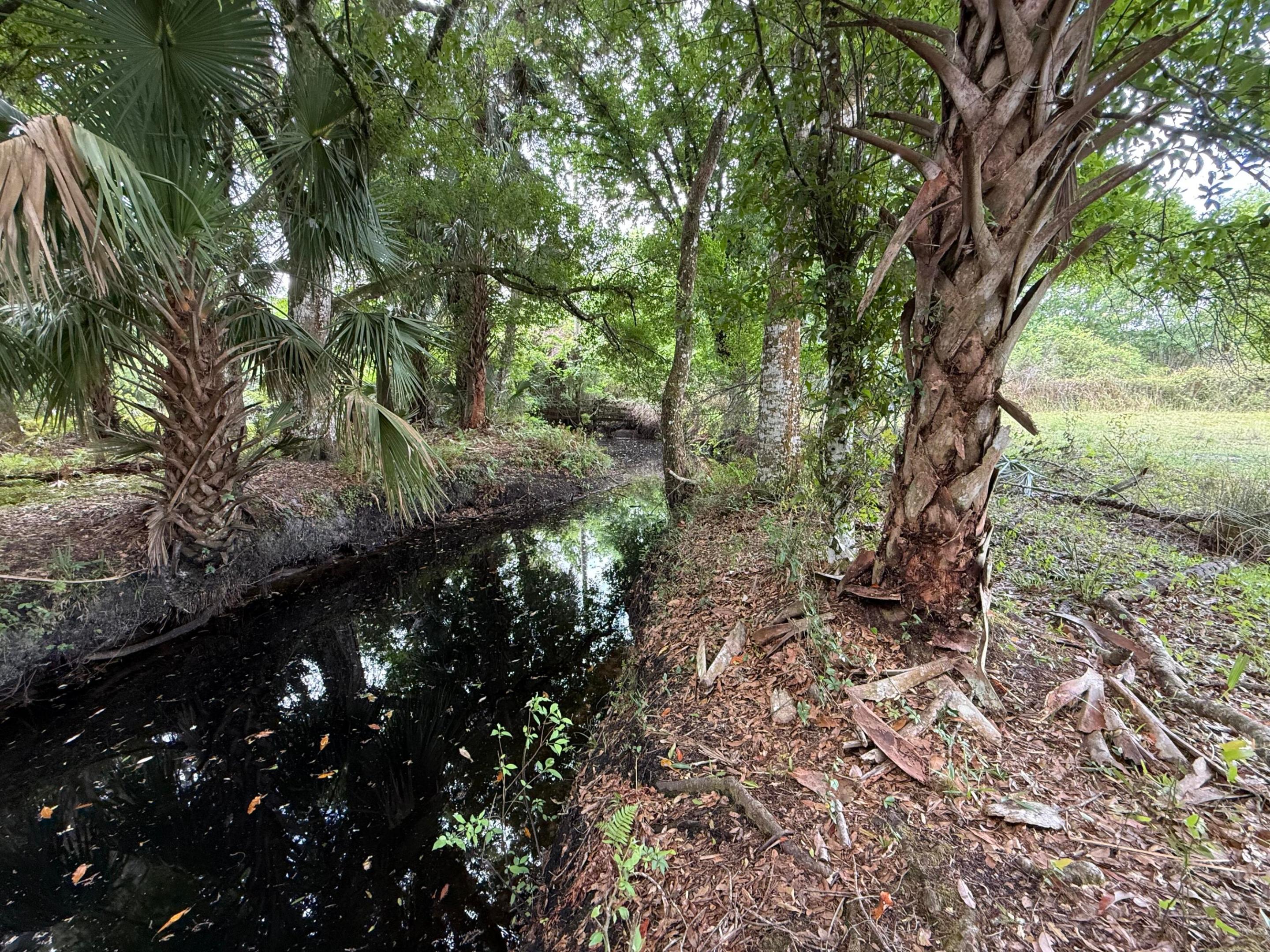 main property photo 61