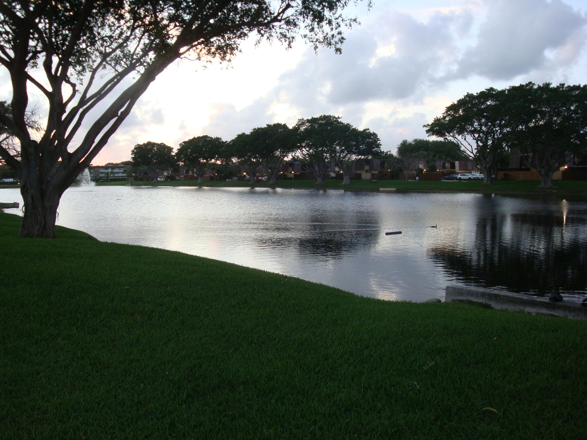 main property photo 41