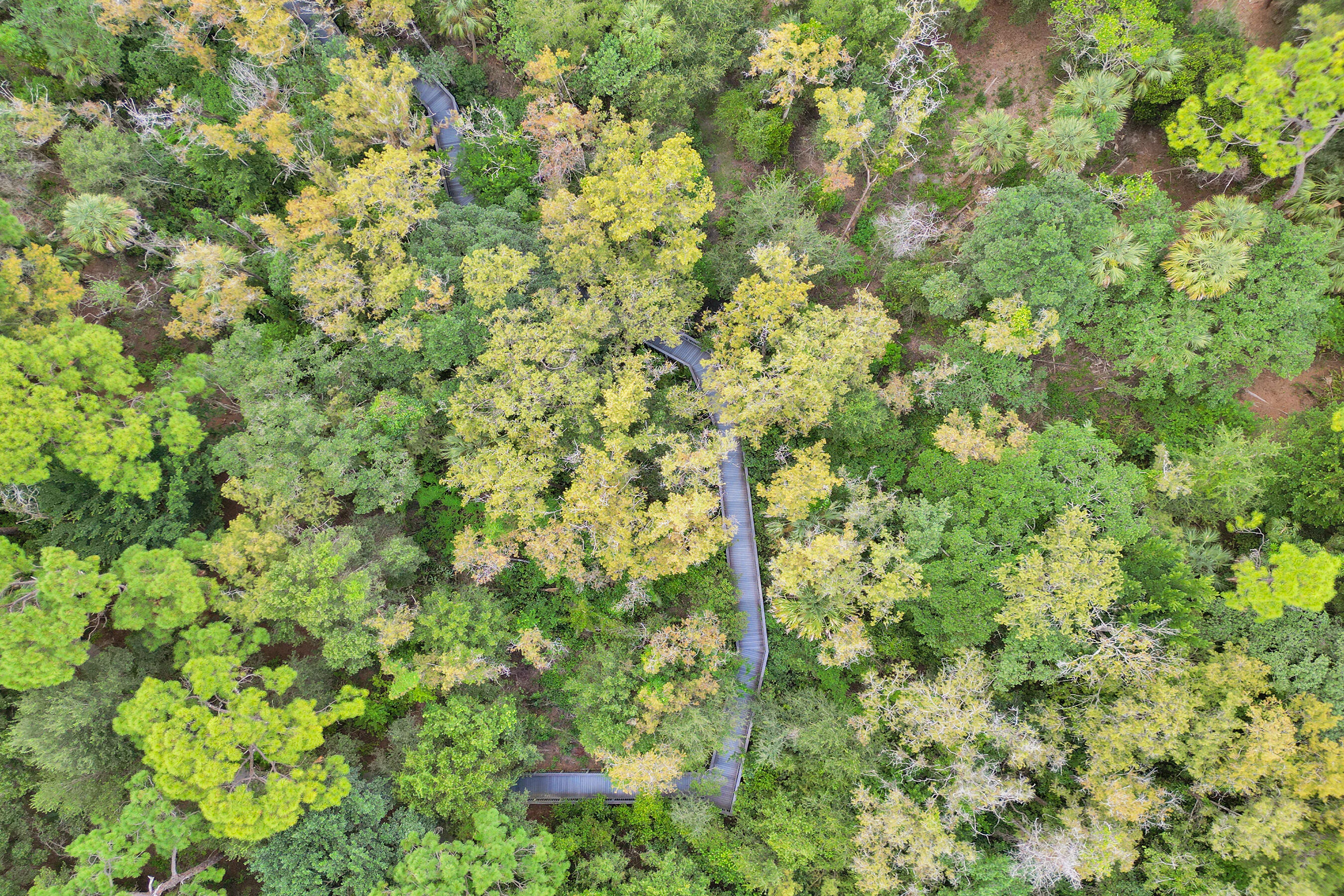 main property photo 73