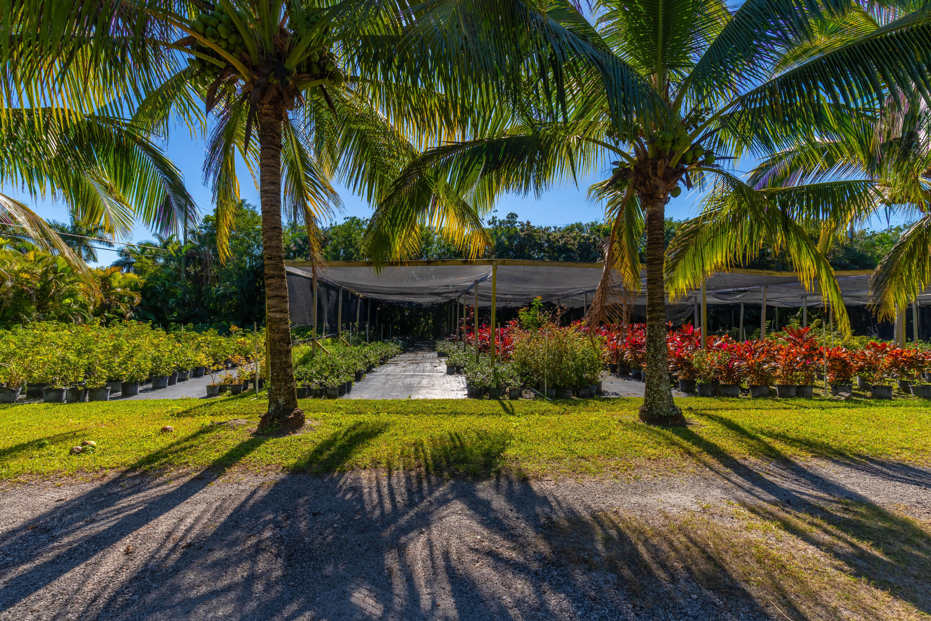 main property photo 64
