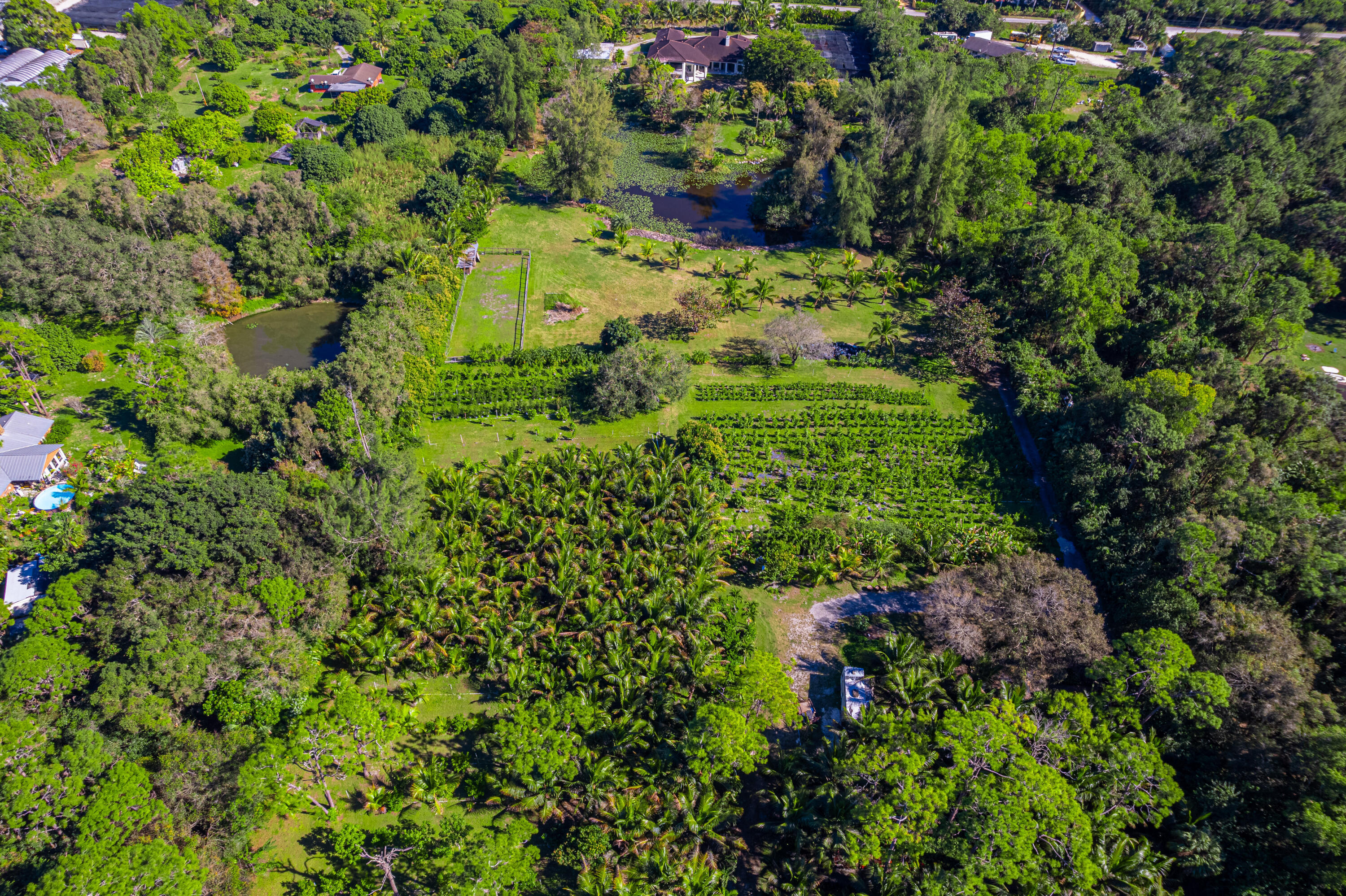 main property photo 78