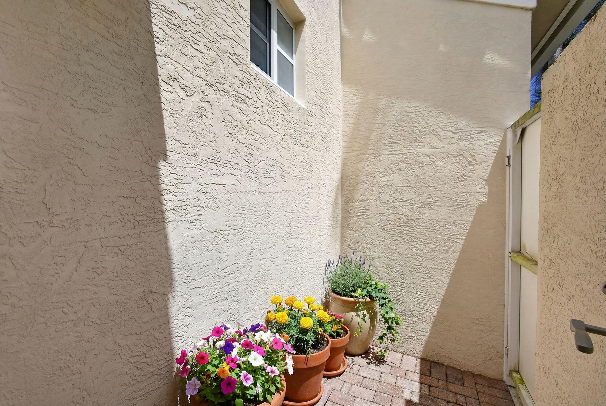 main property photo 52