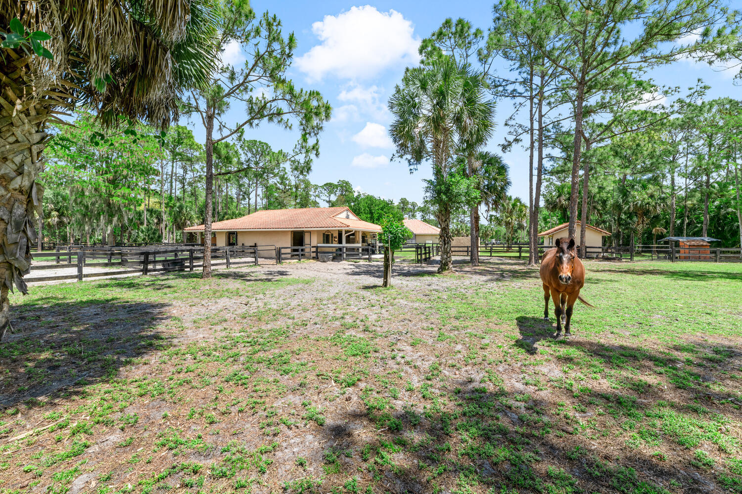main property photo 72