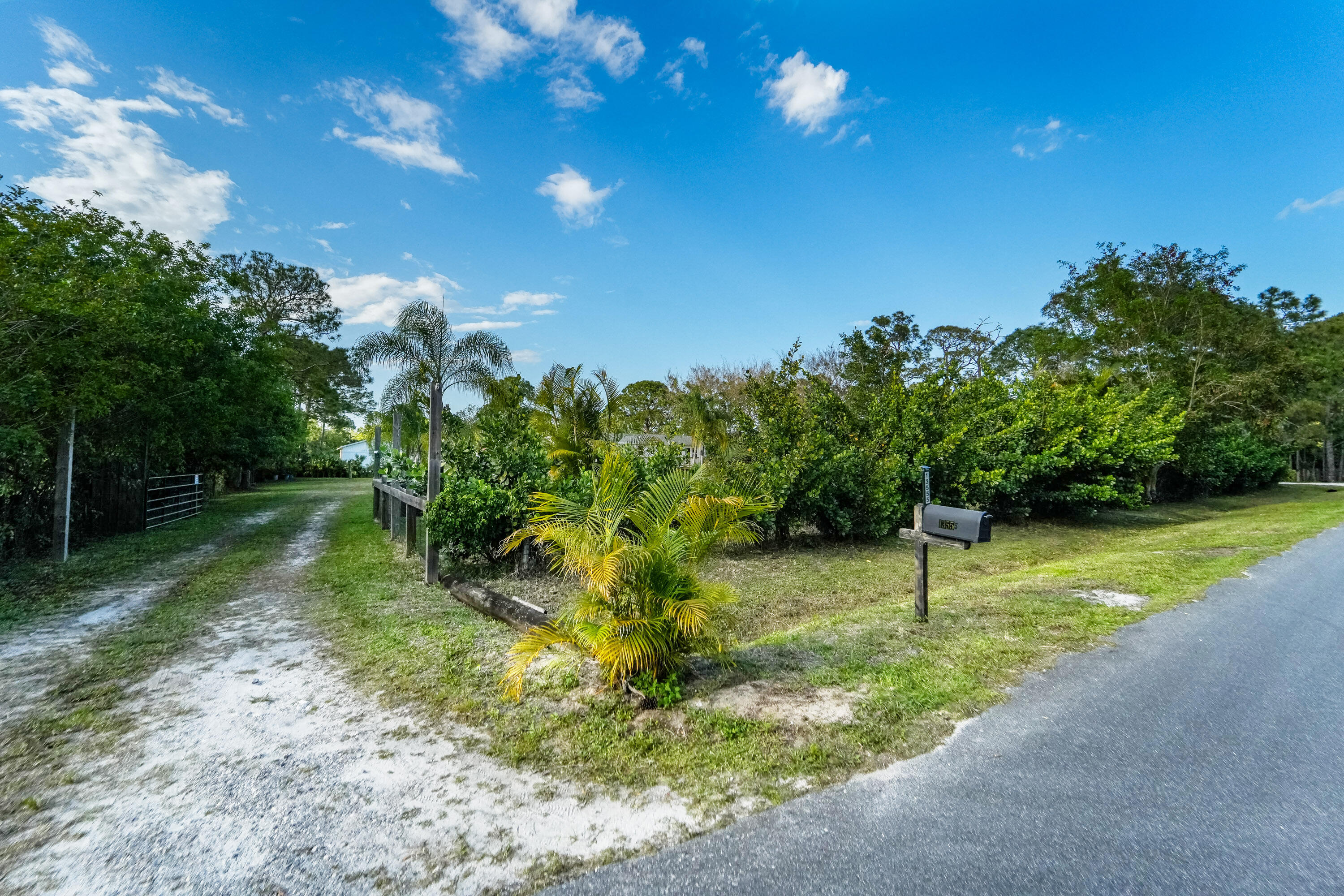 main property photo 56