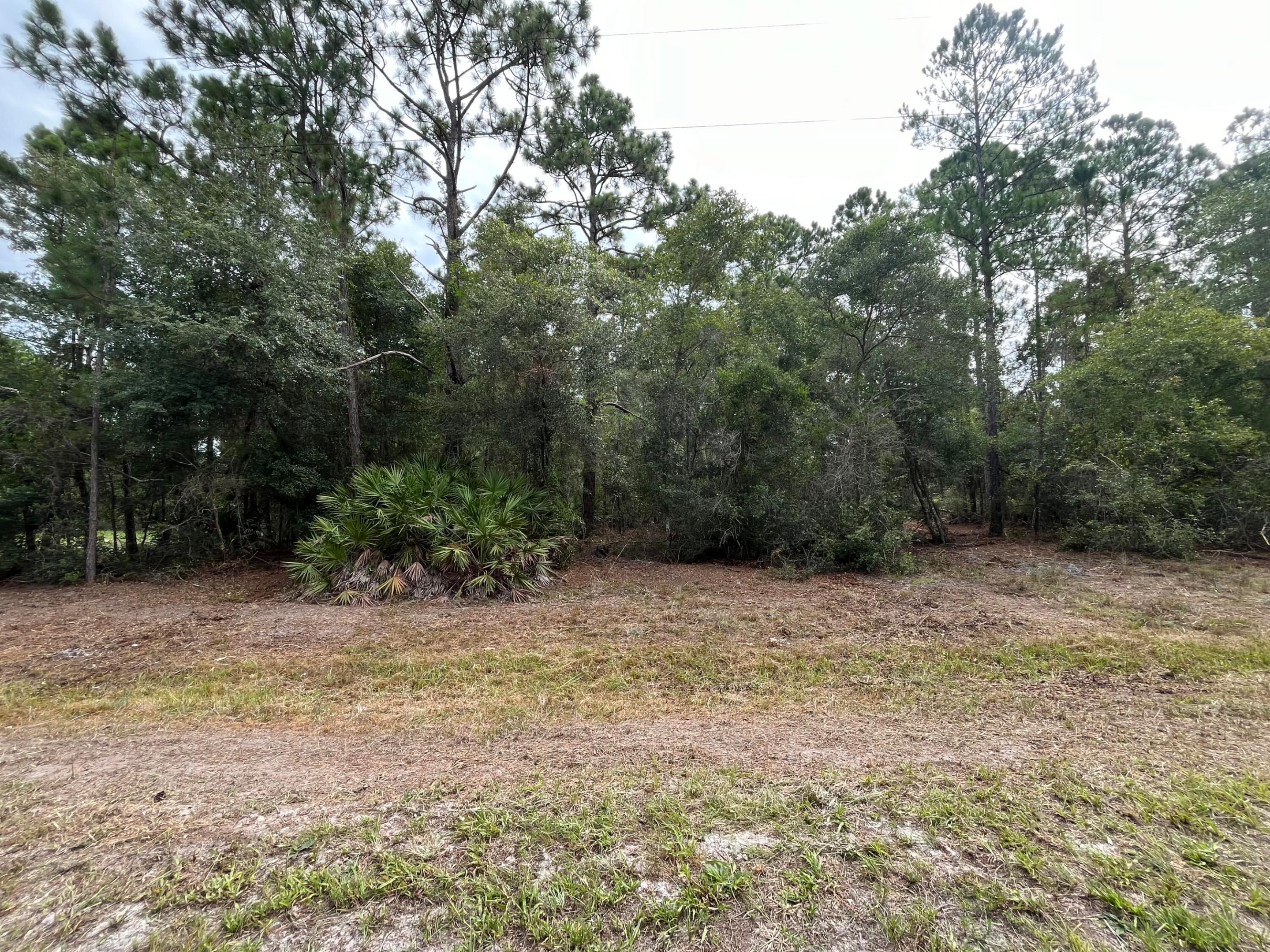 main property photo 6