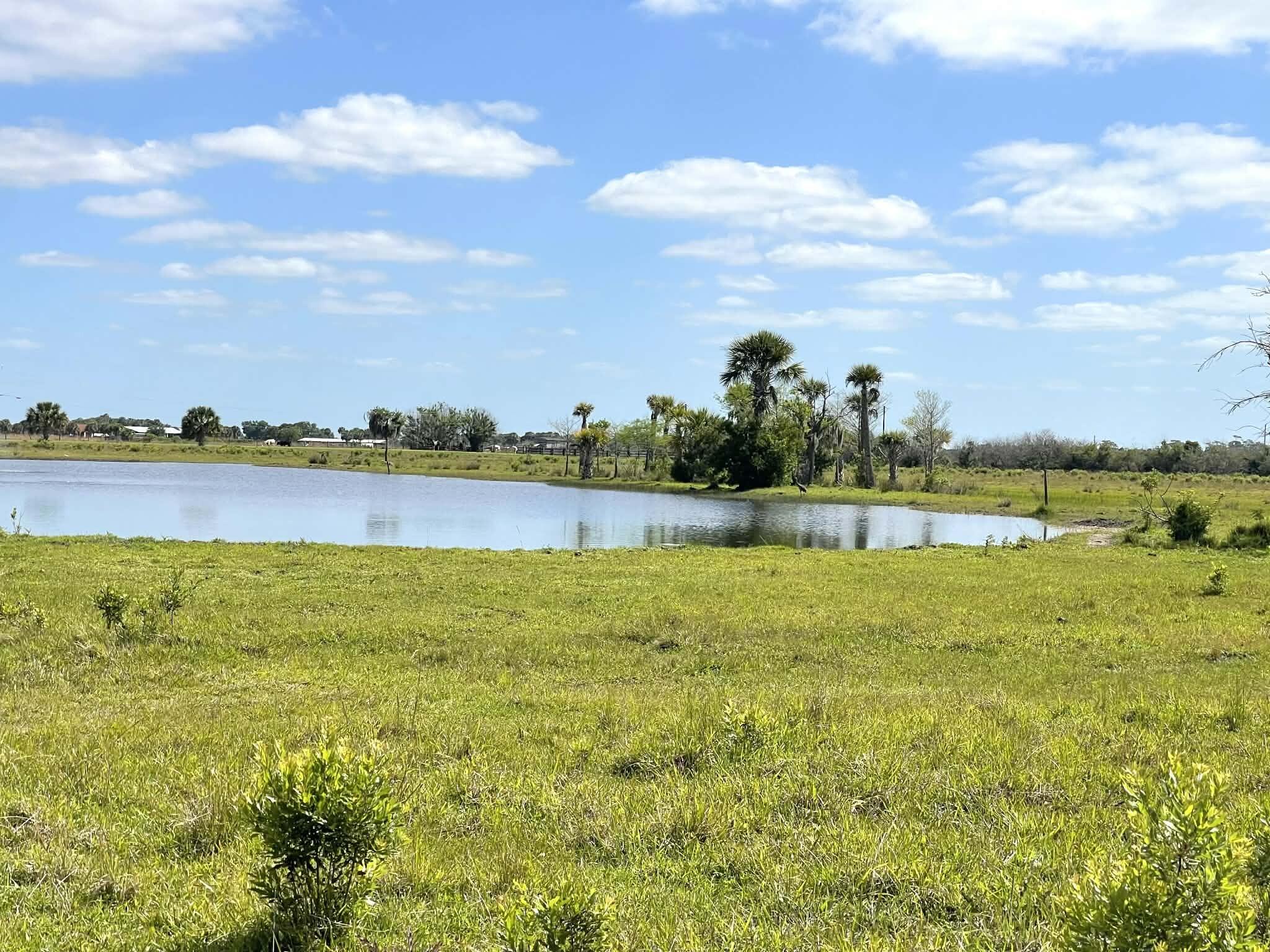 main property photo 60