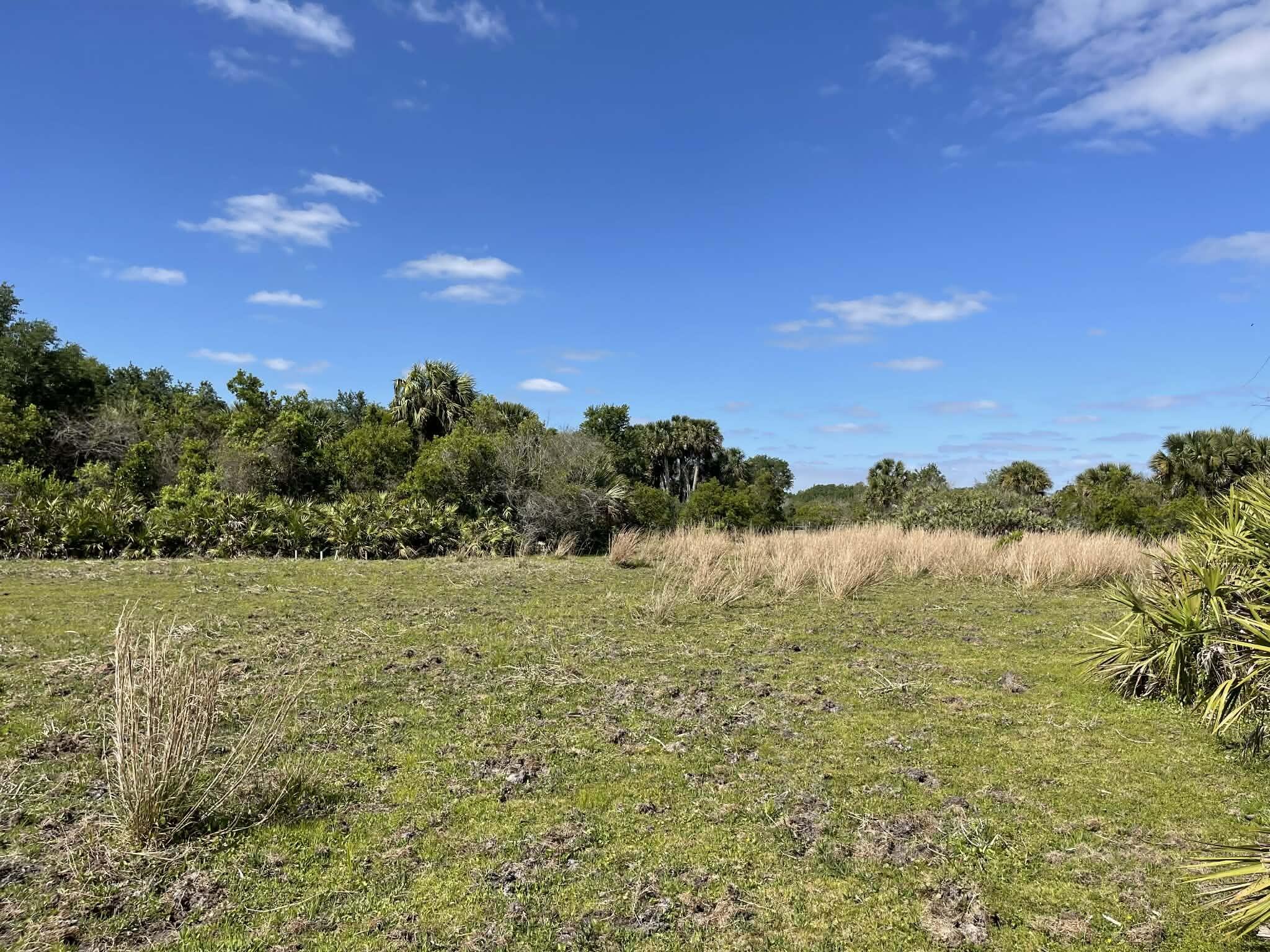 main property photo 63
