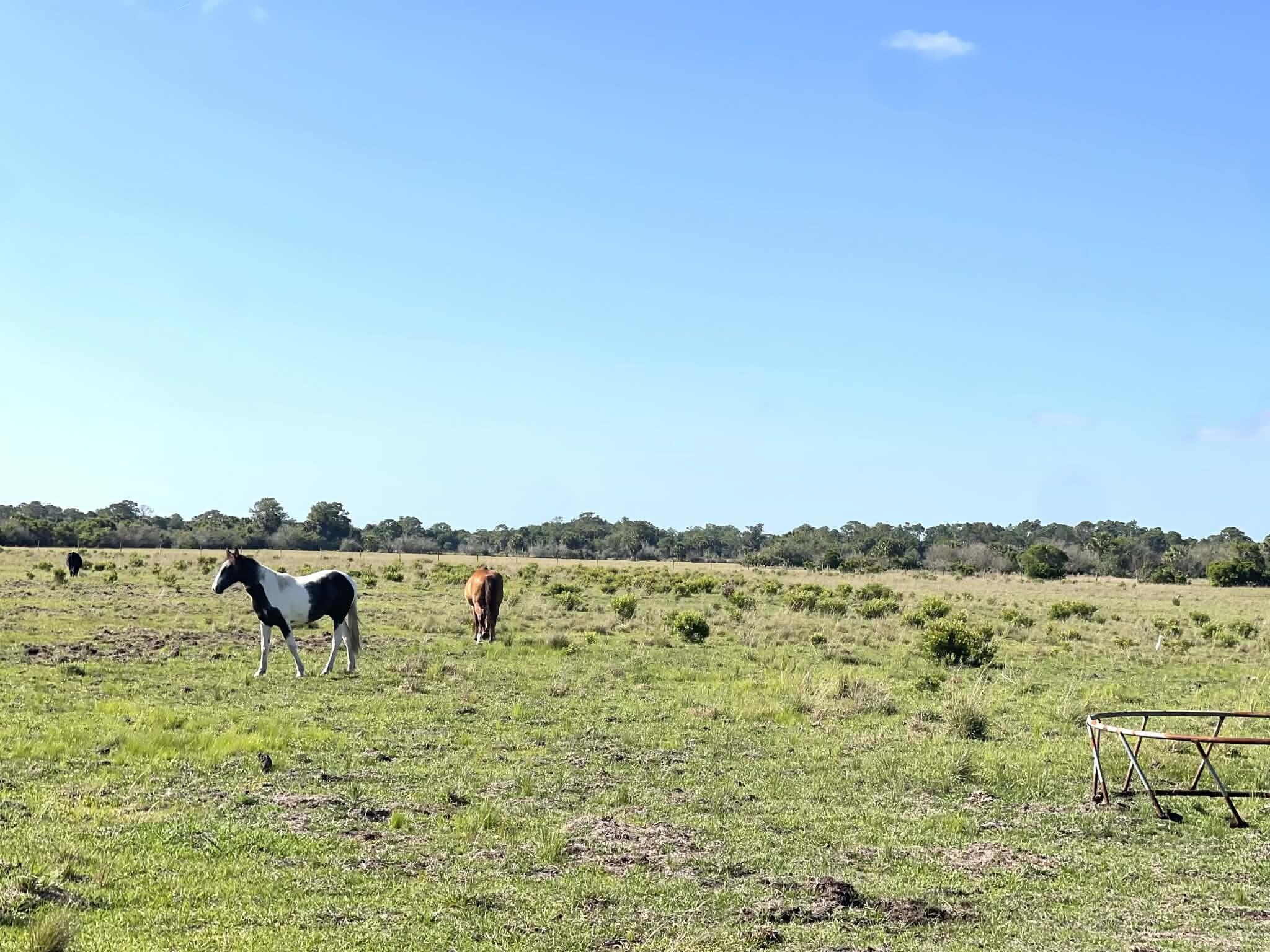 main property photo 64
