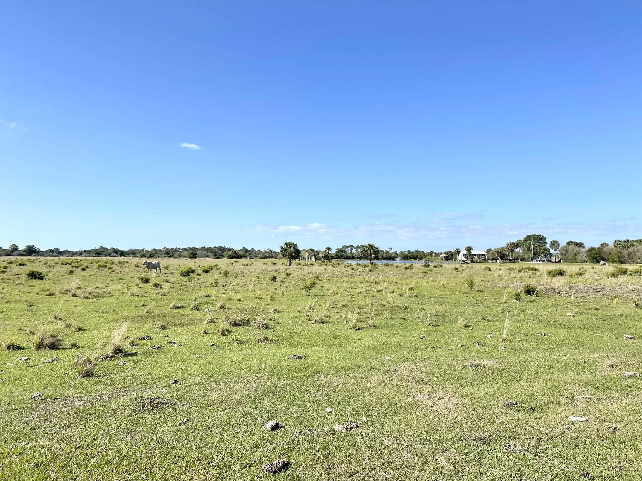 main property photo 65