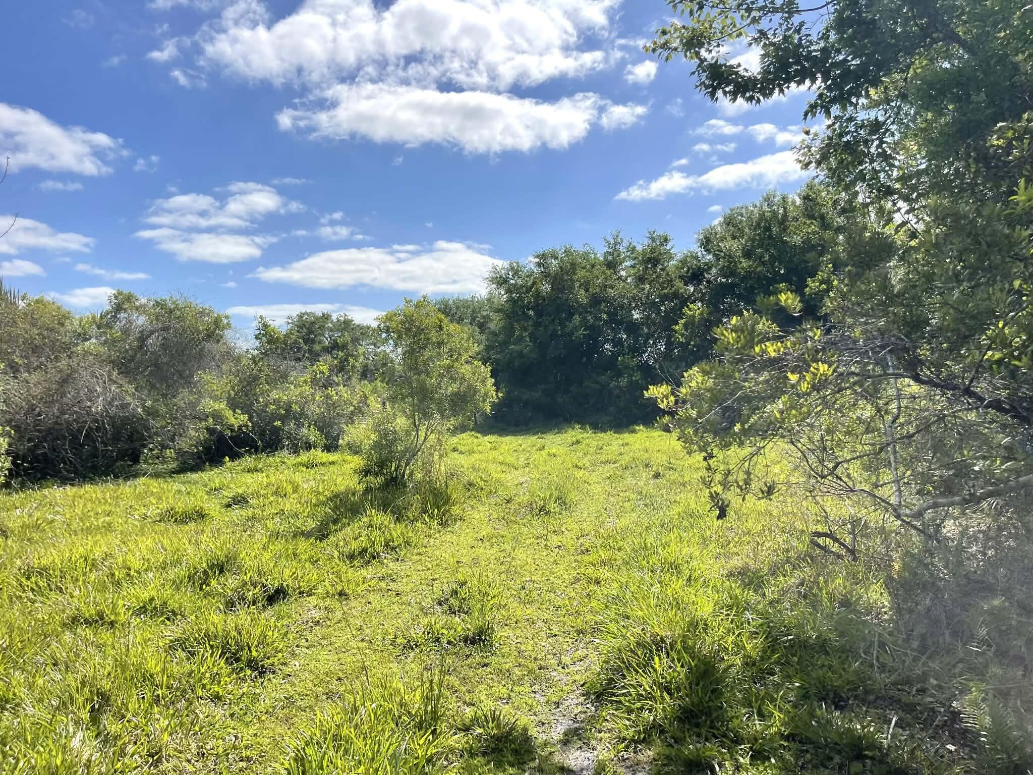 main property photo 68