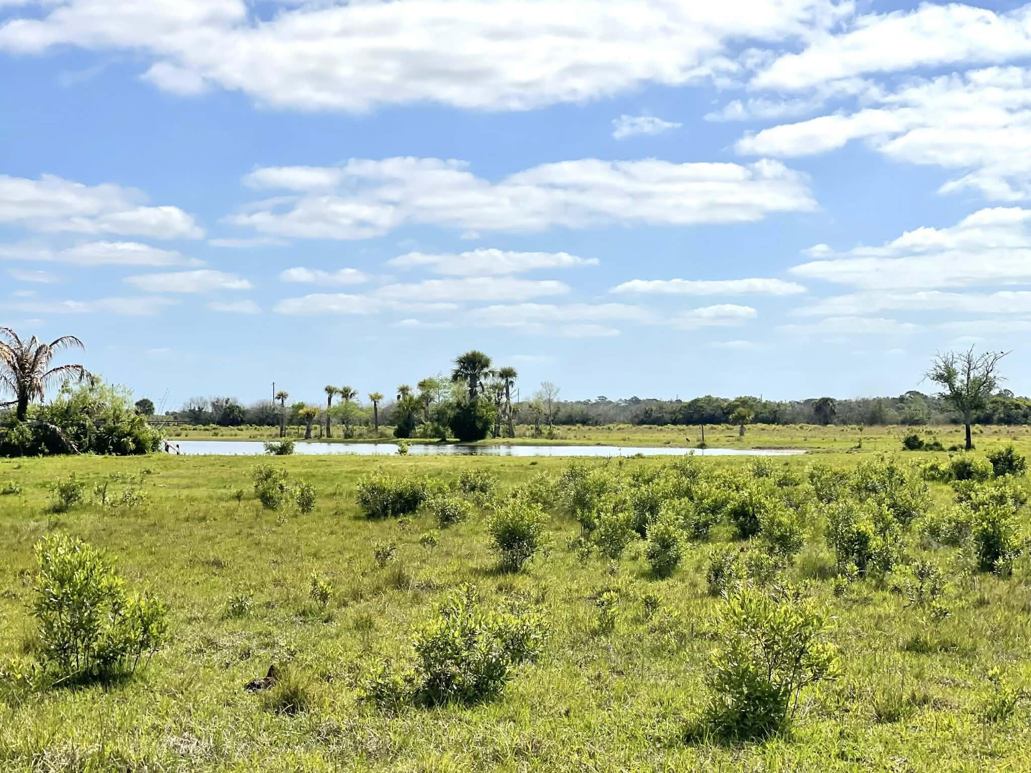 main property photo 69