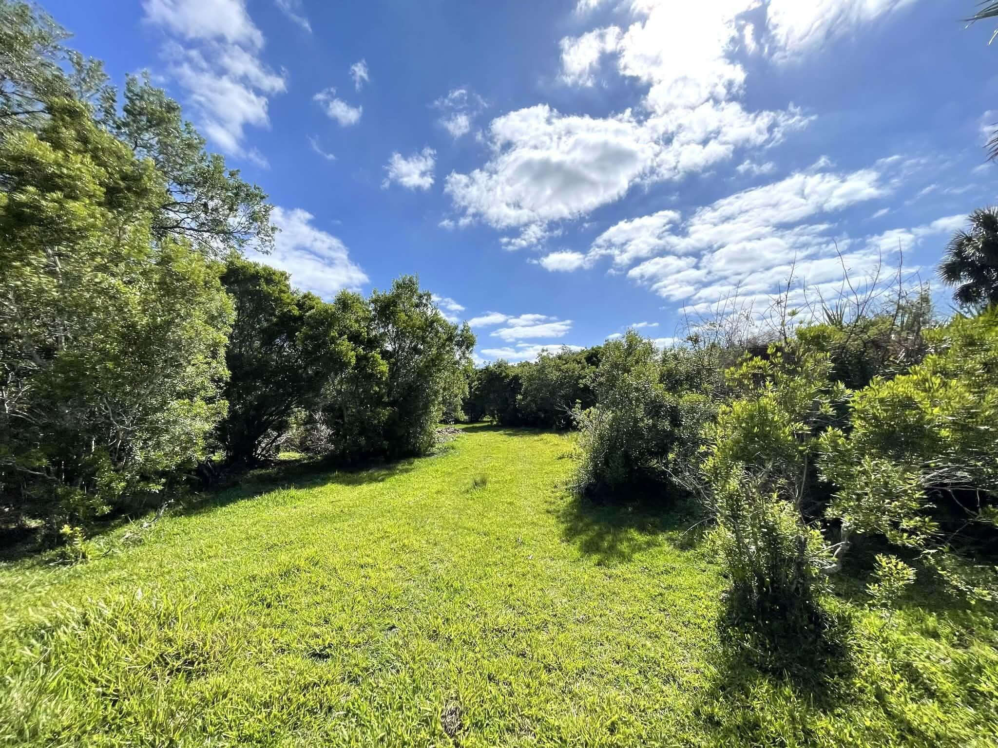 main property photo 71