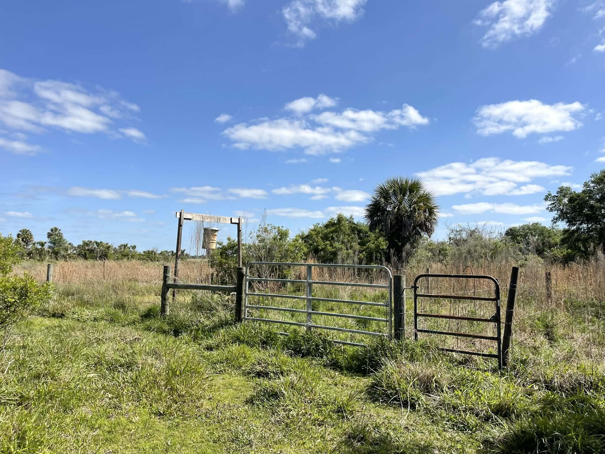 main property photo 74
