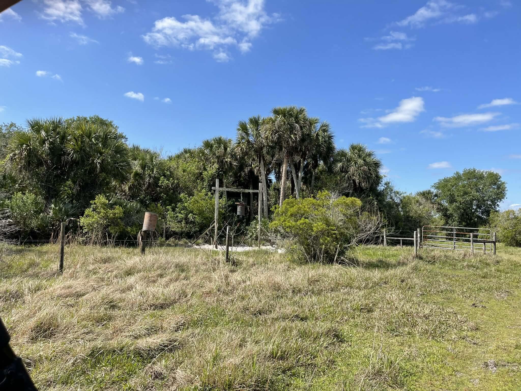 main property photo 77