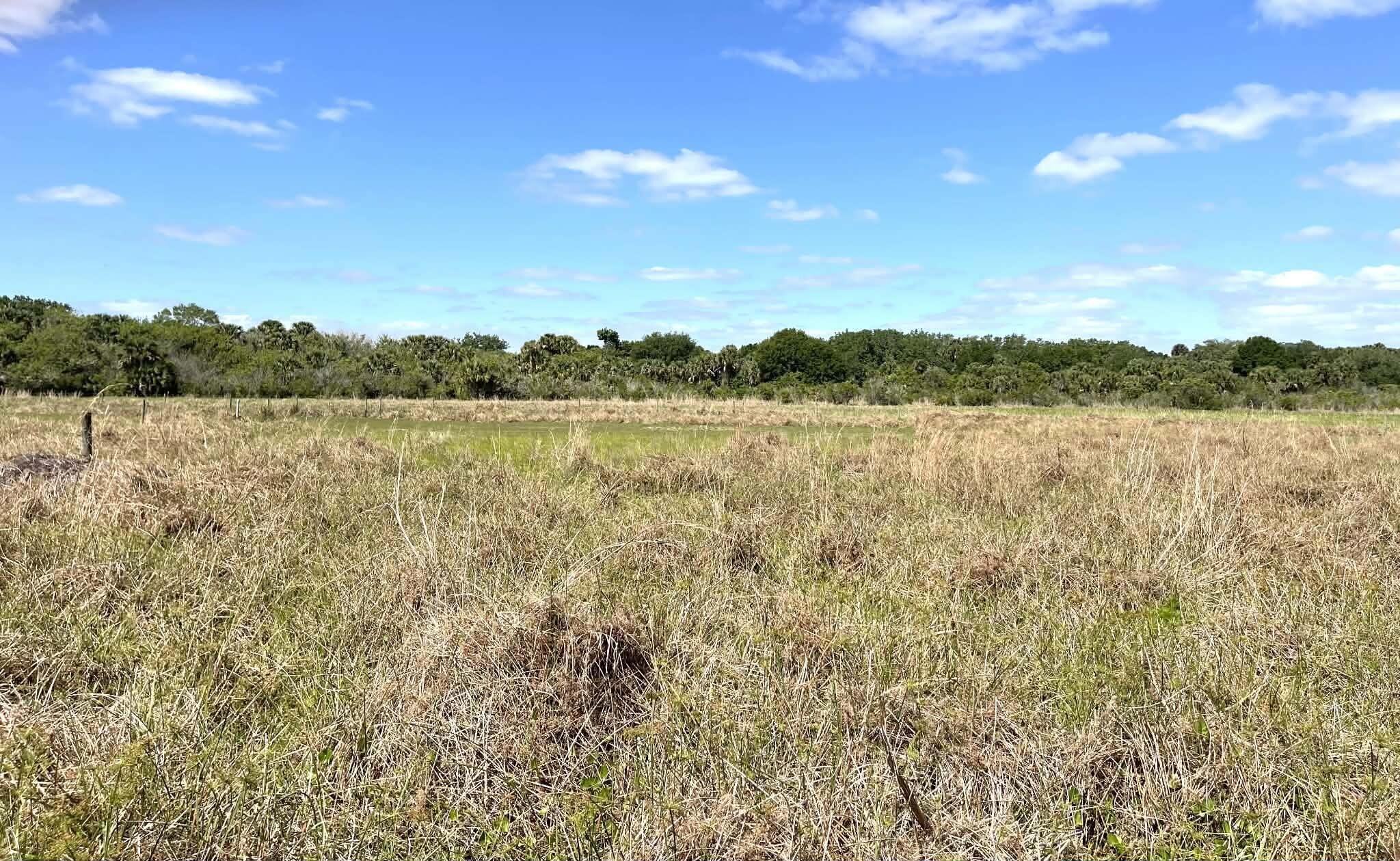 main property photo 78