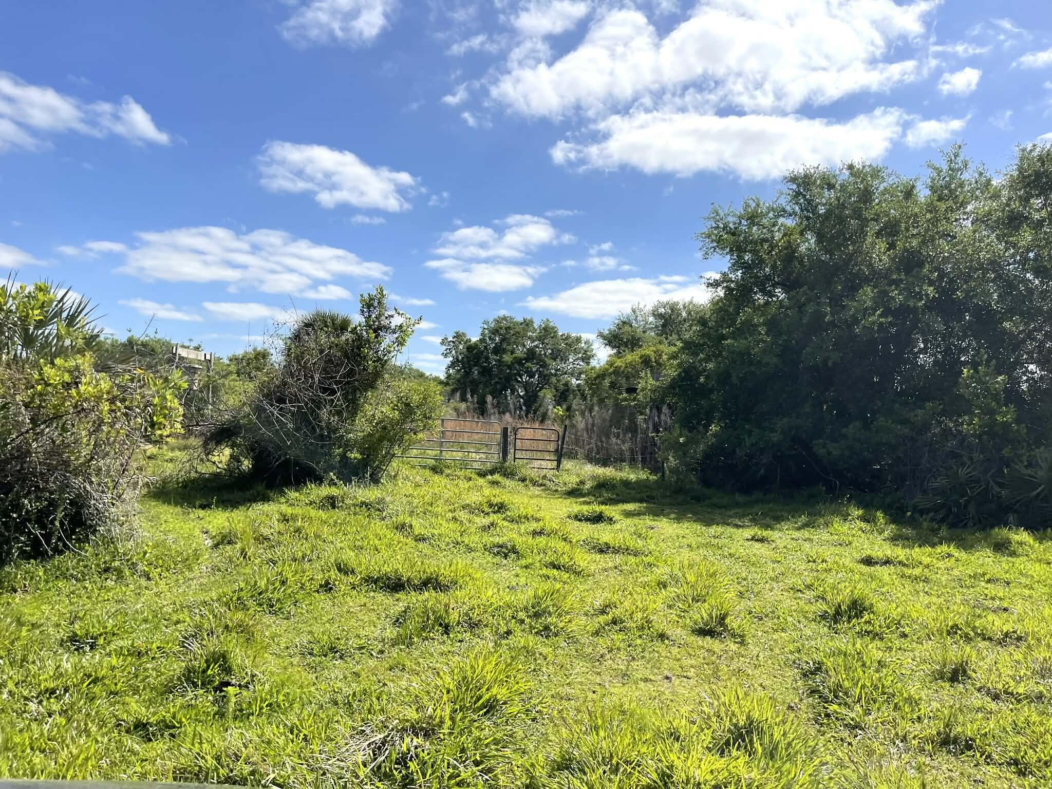main property photo 79