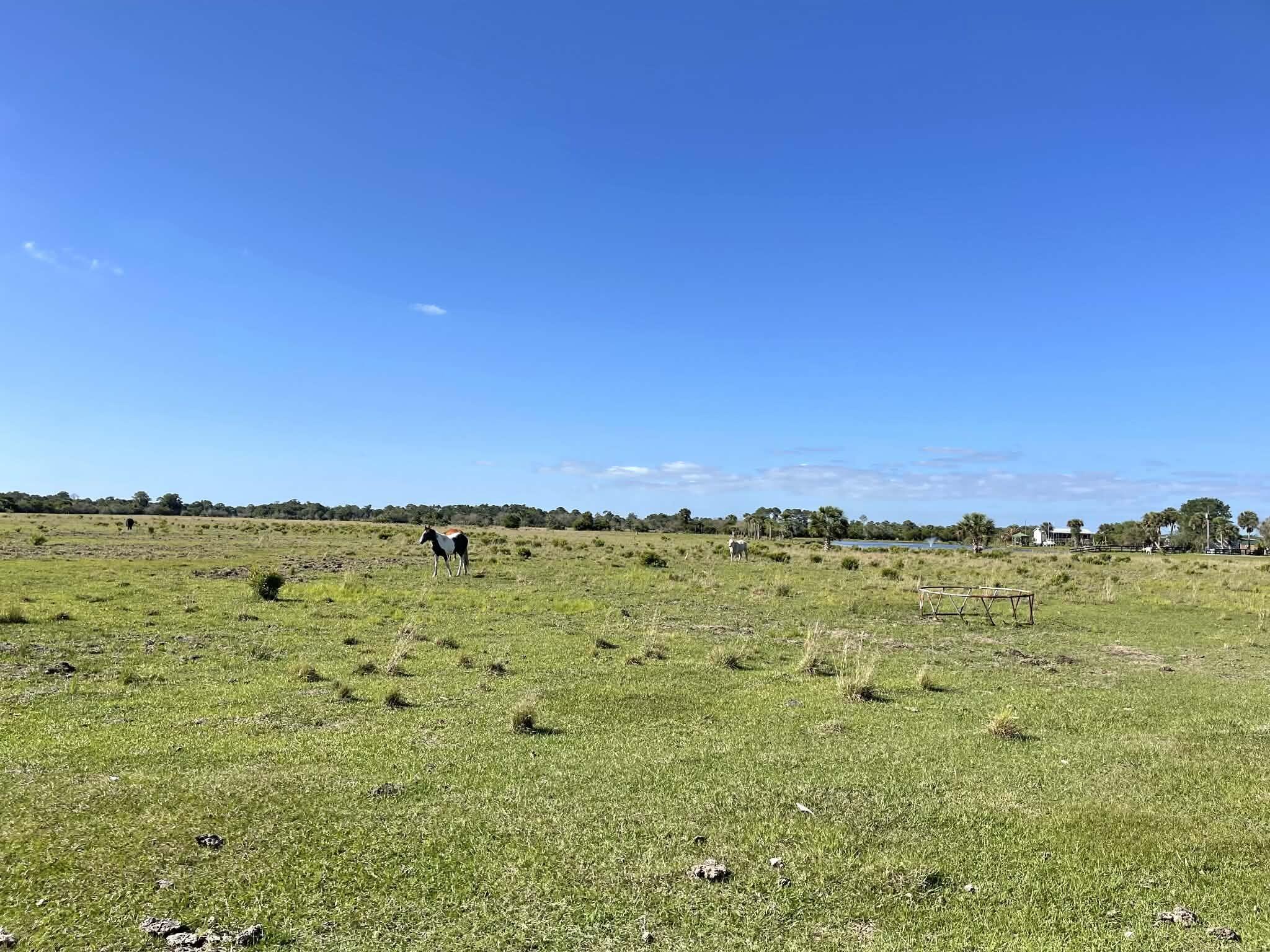 main property photo 80
