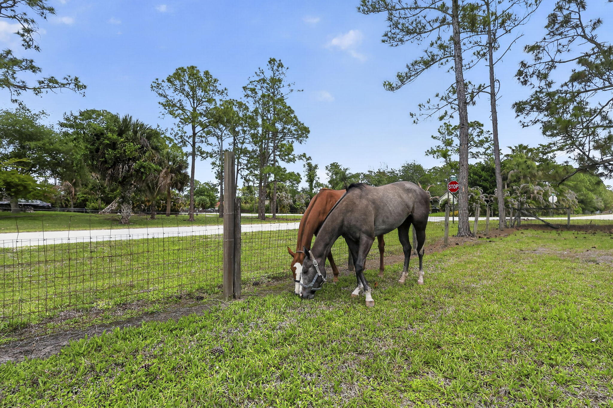 main property photo 74