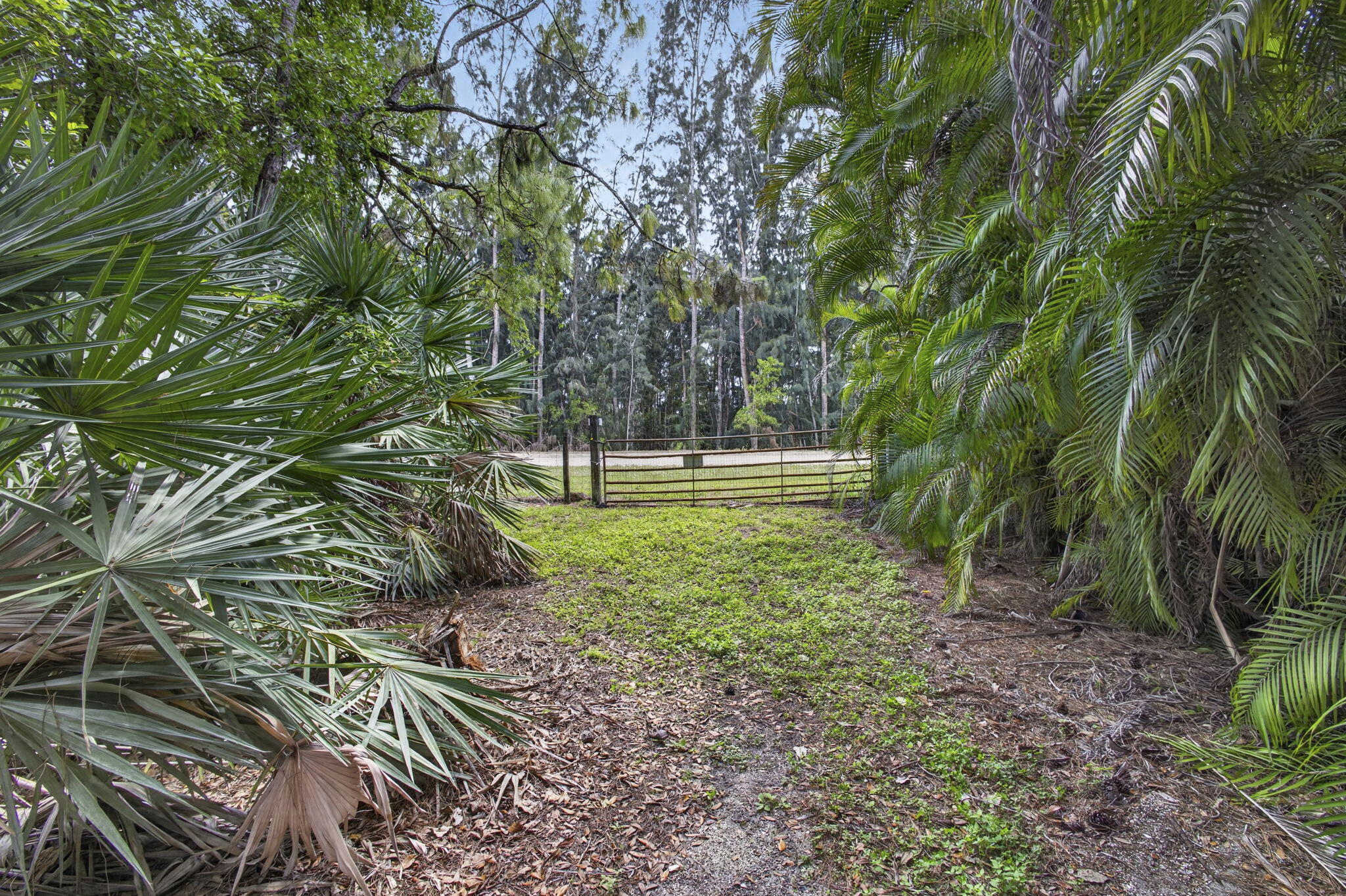 main property photo 76