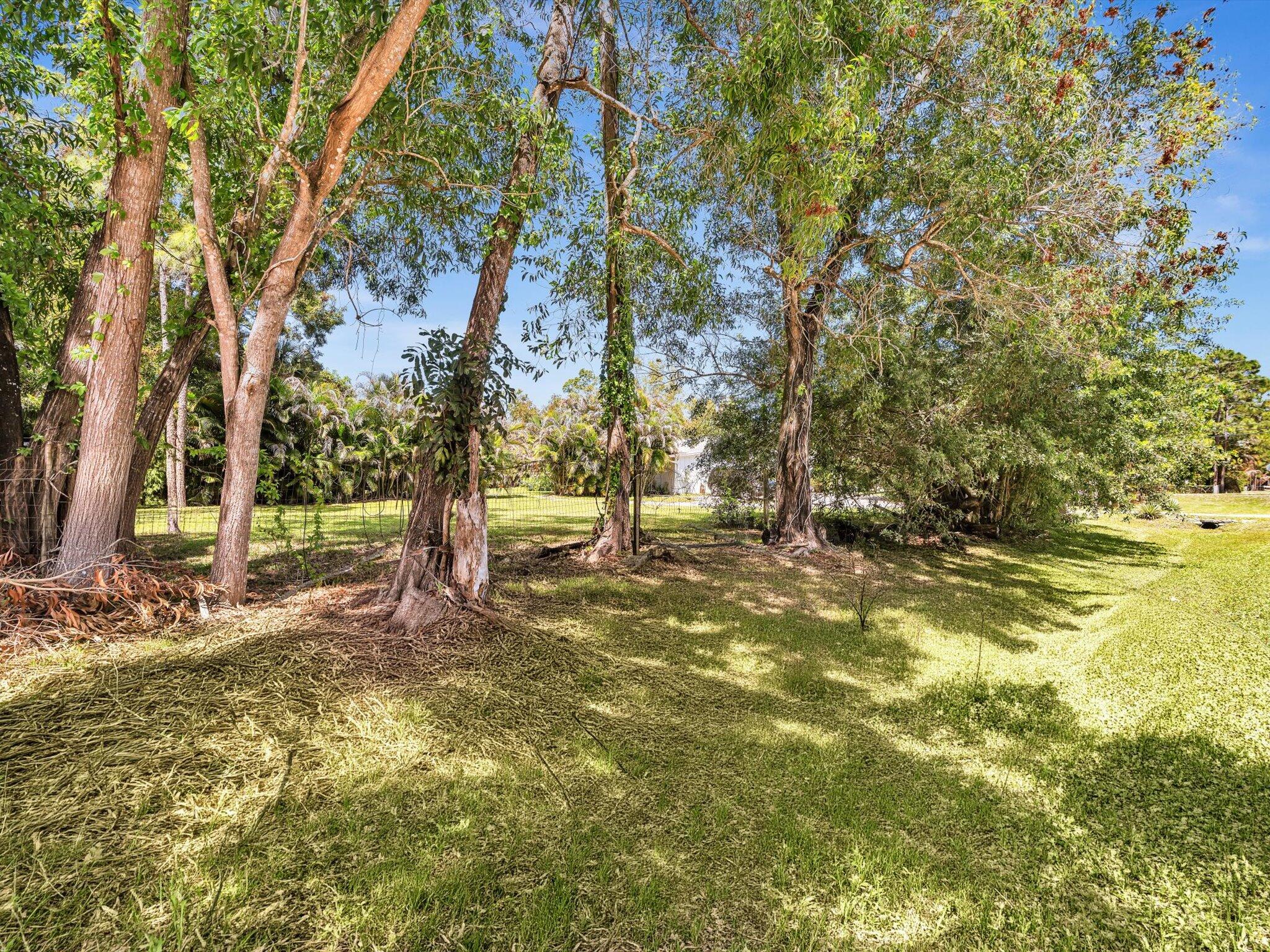 main property photo 63