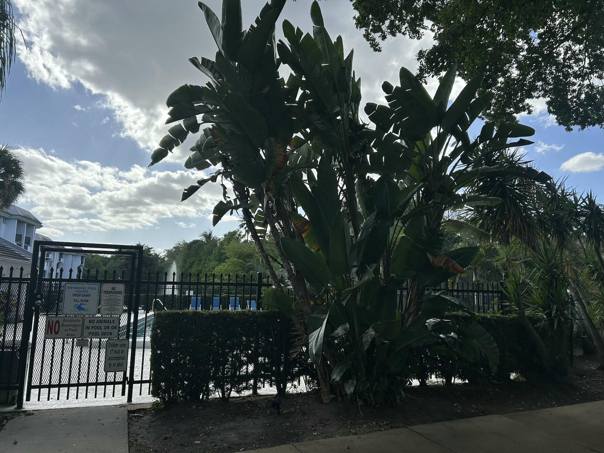 main property photo 76