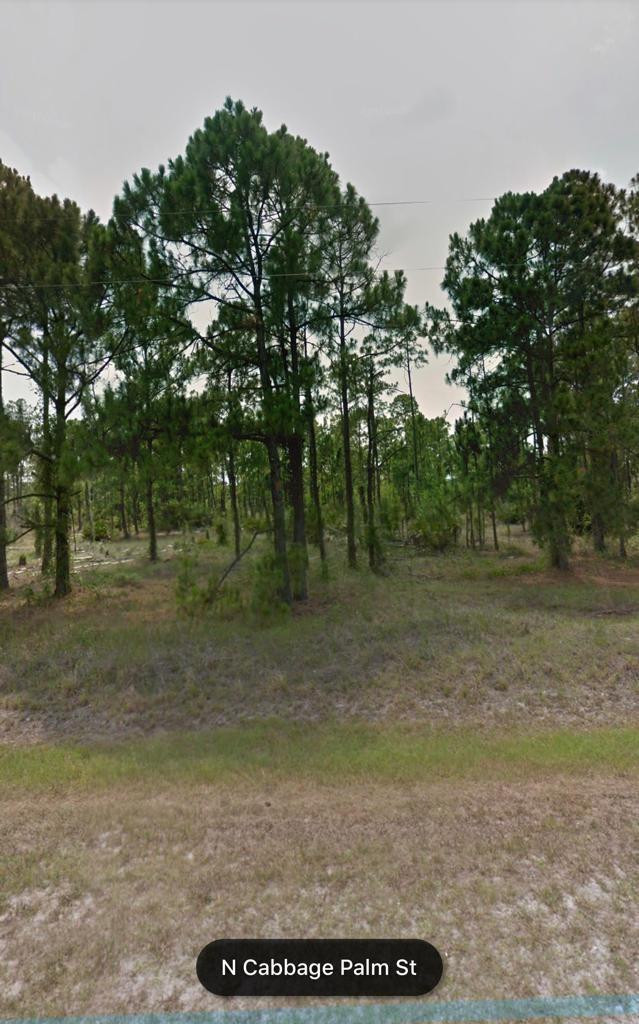 main property photo 2