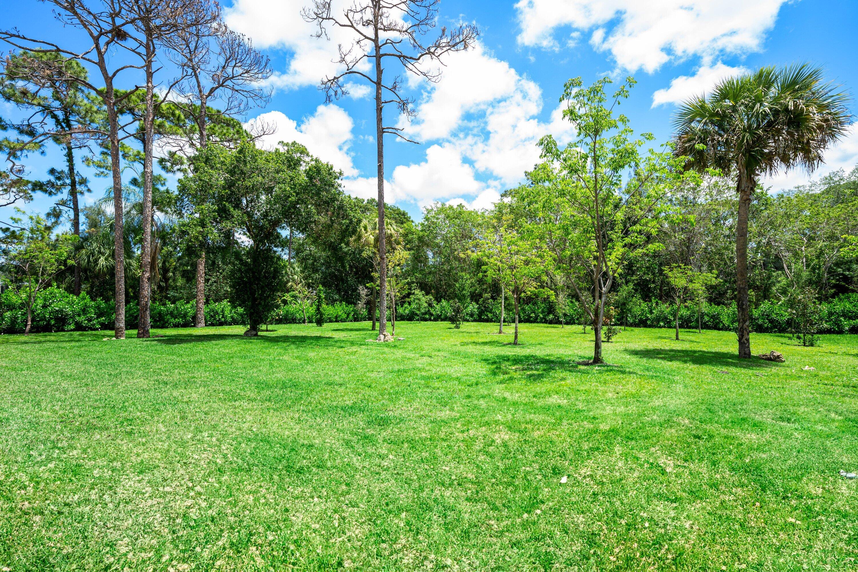 main property photo 67