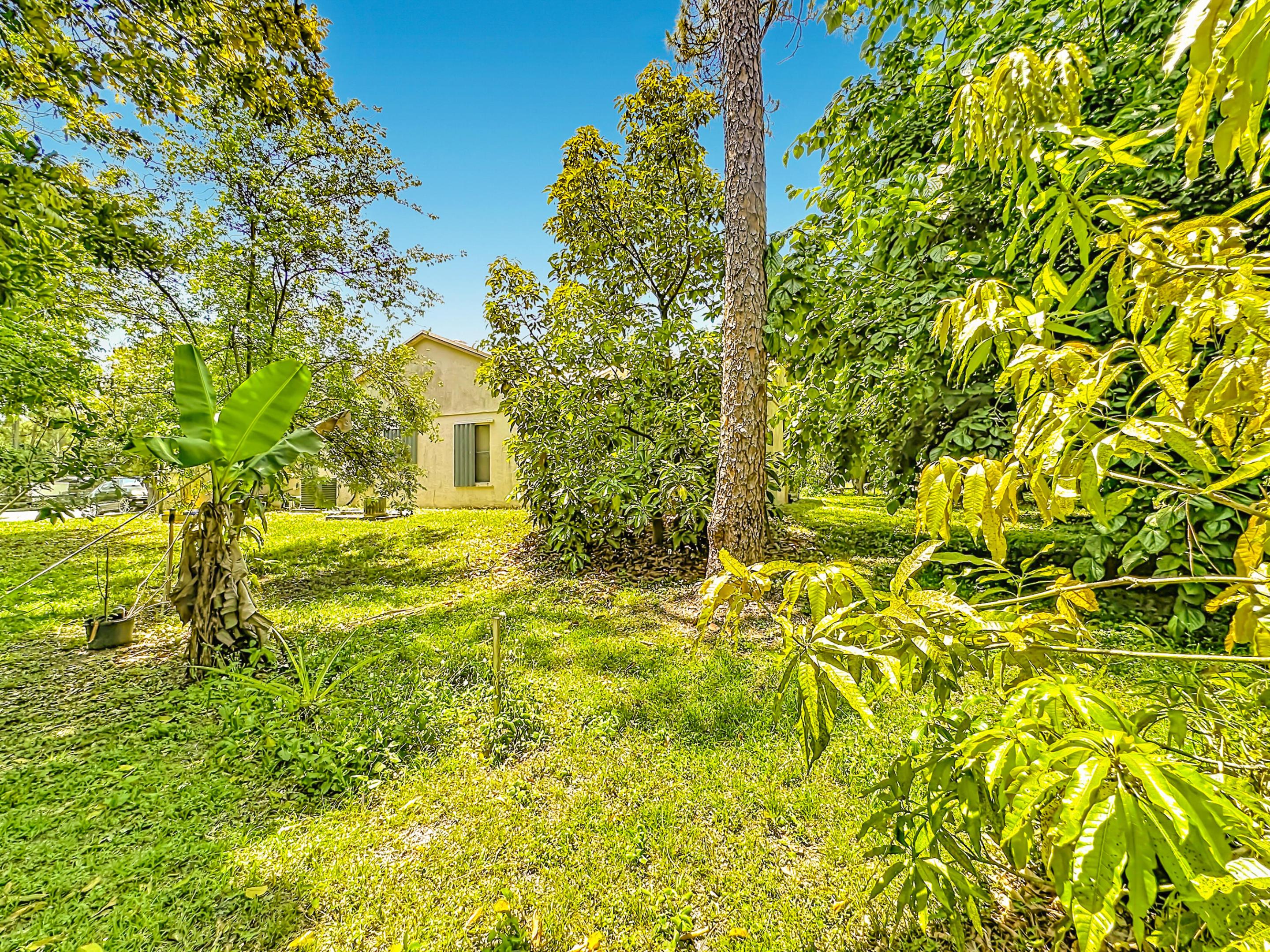 main property photo 50