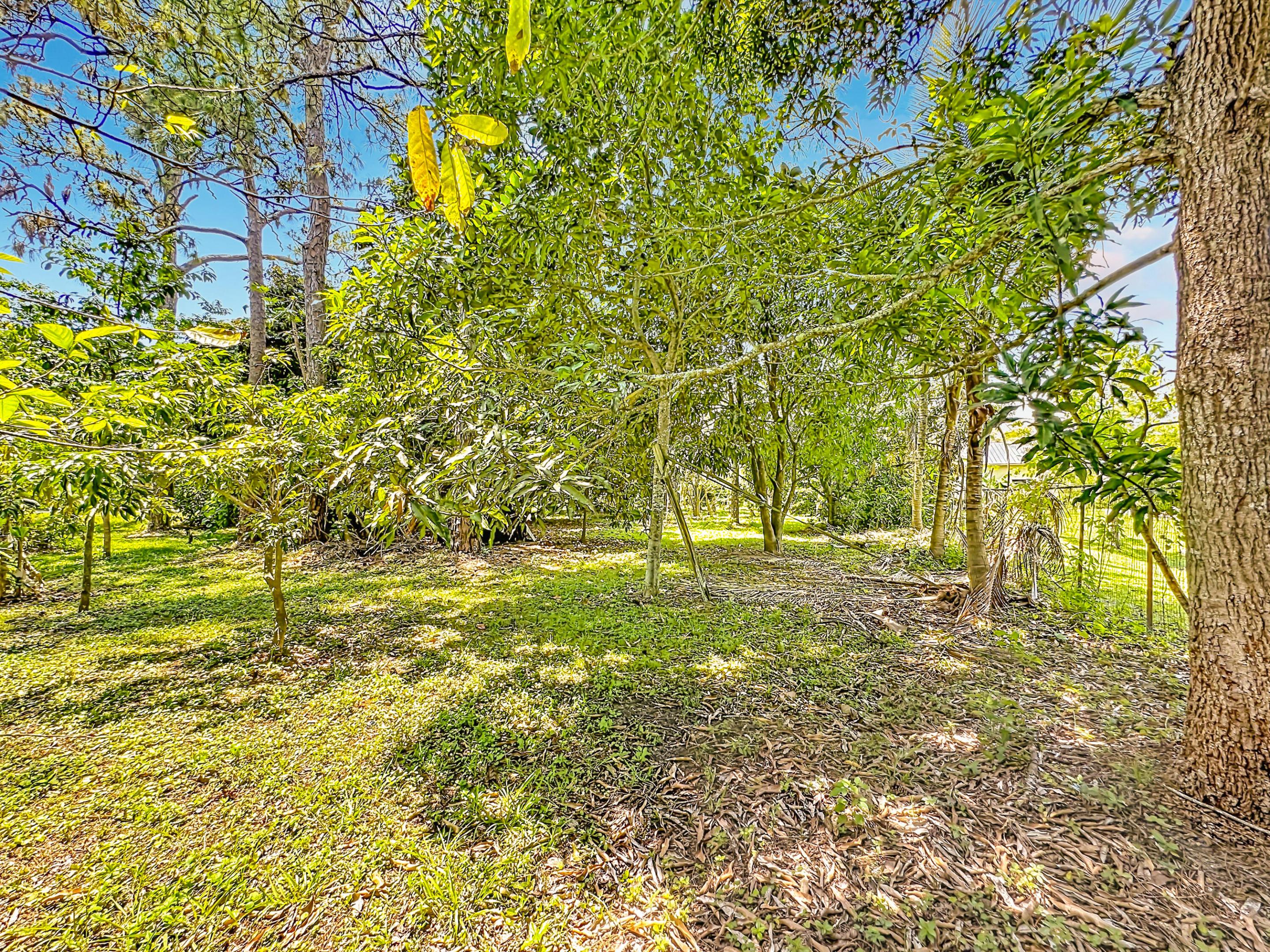 main property photo 51