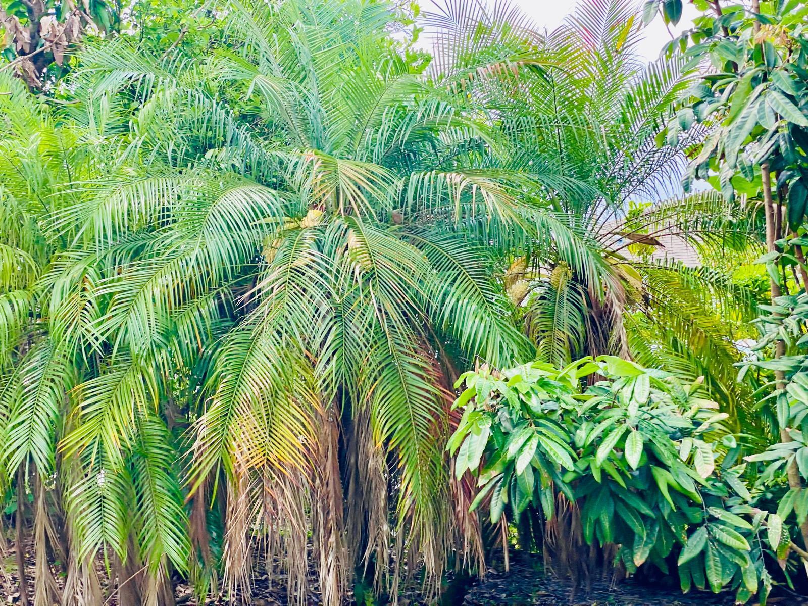 main property photo 25