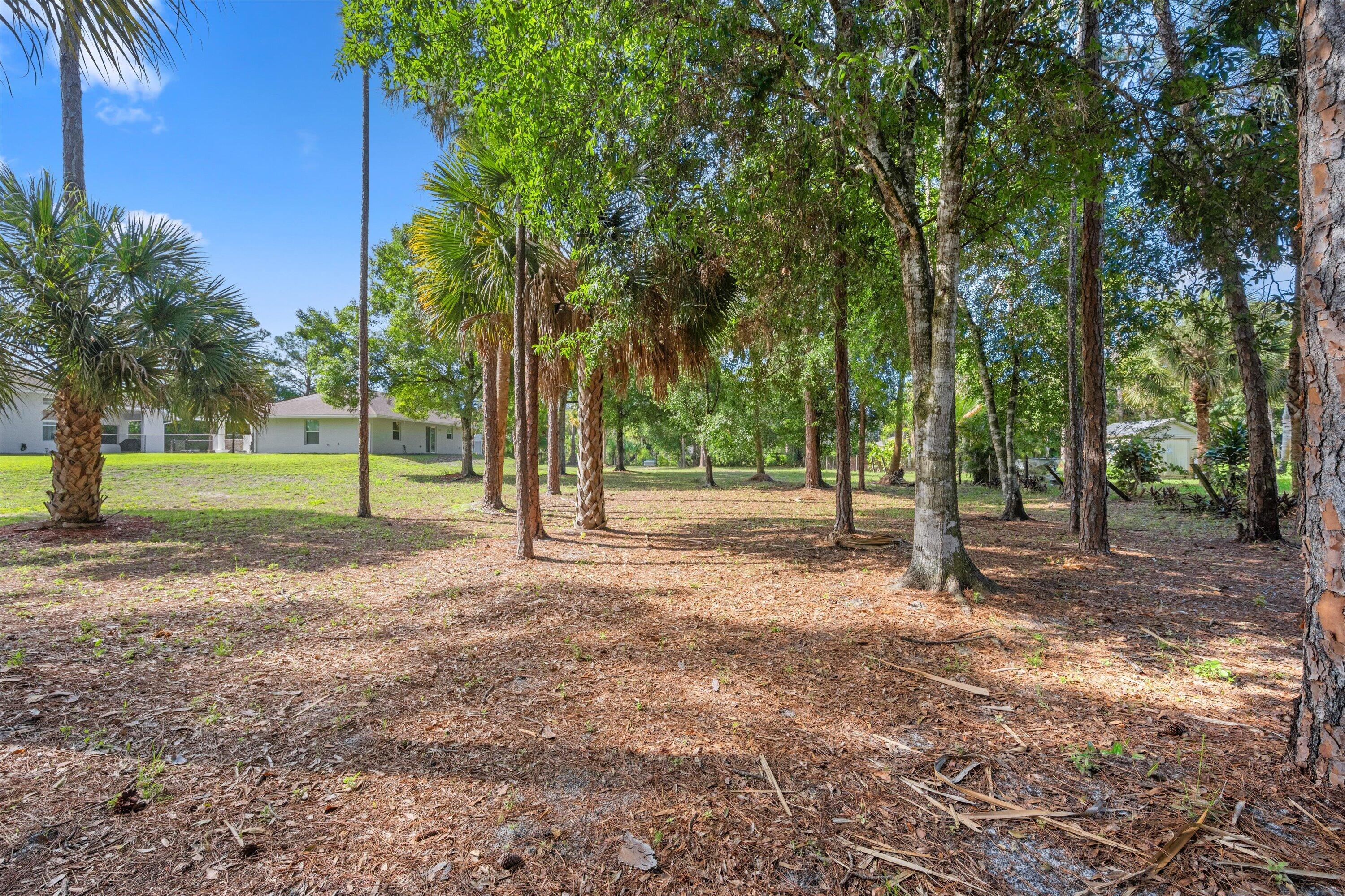 main property photo 92