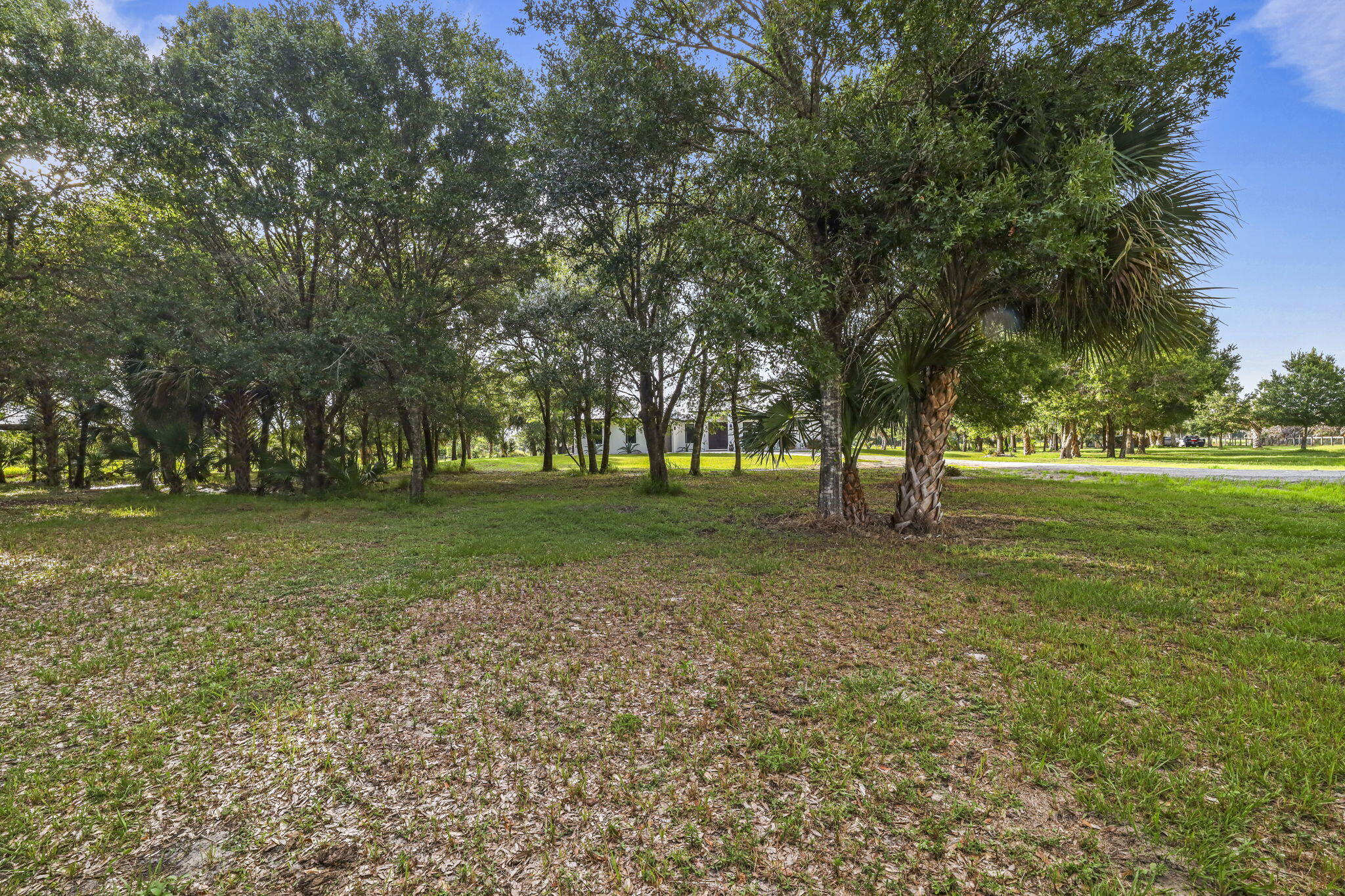 main property photo 54