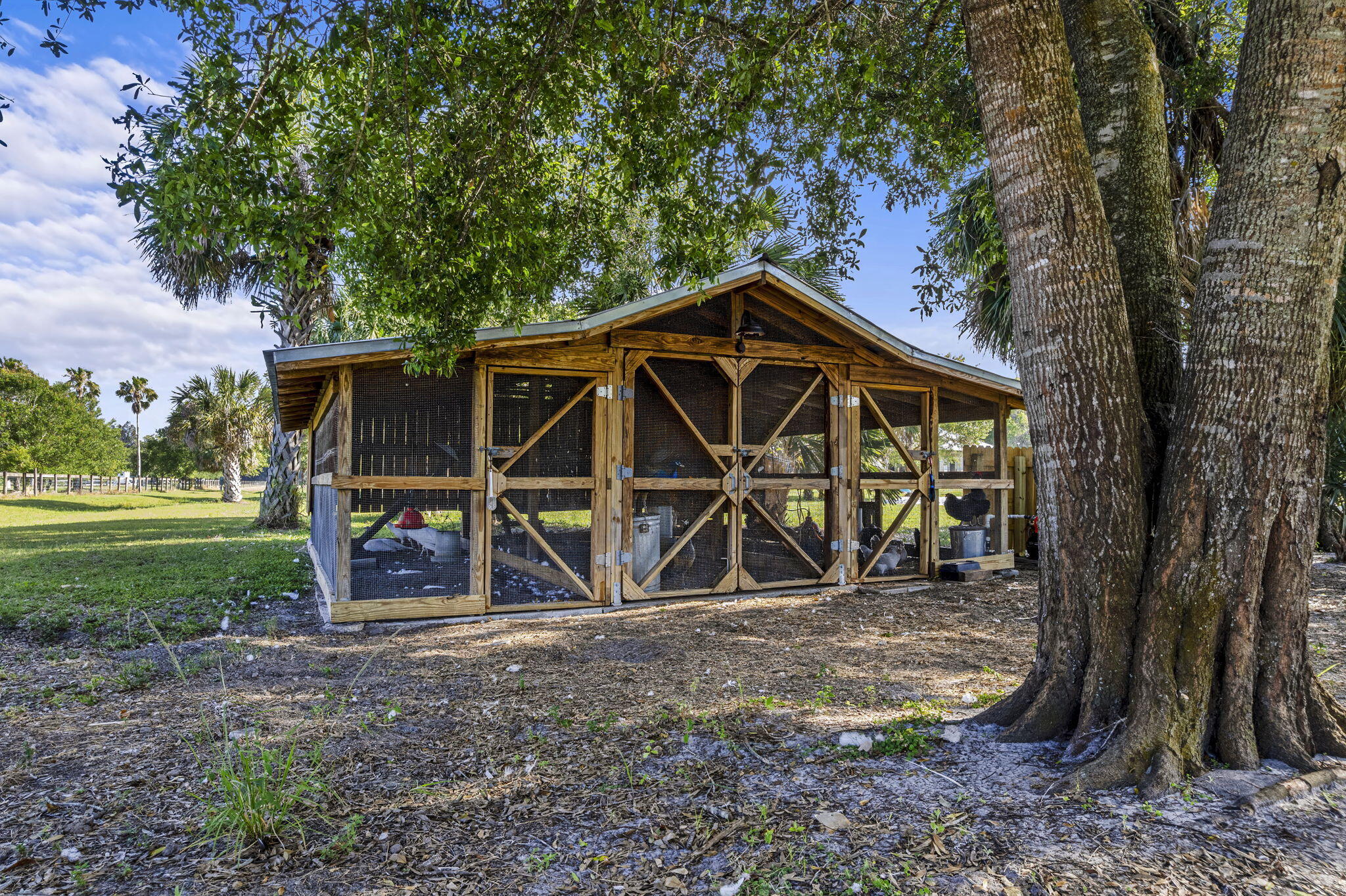 main property photo 56