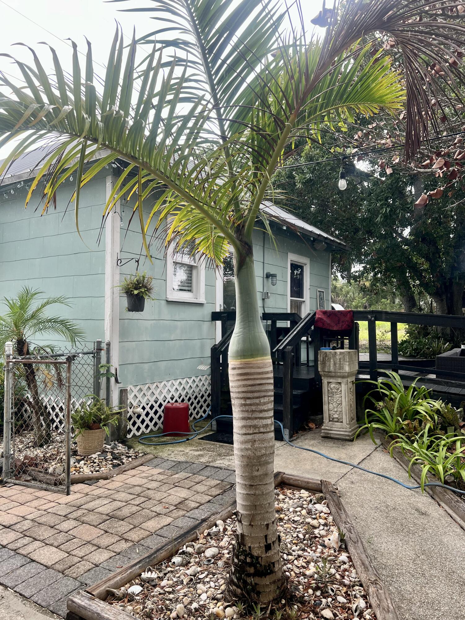 main property photo 58