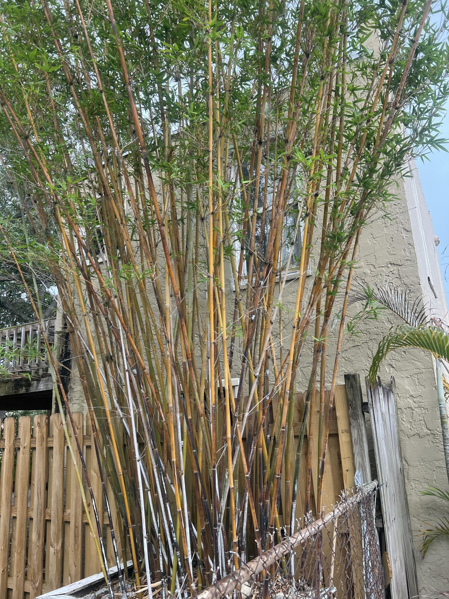 main property photo 61