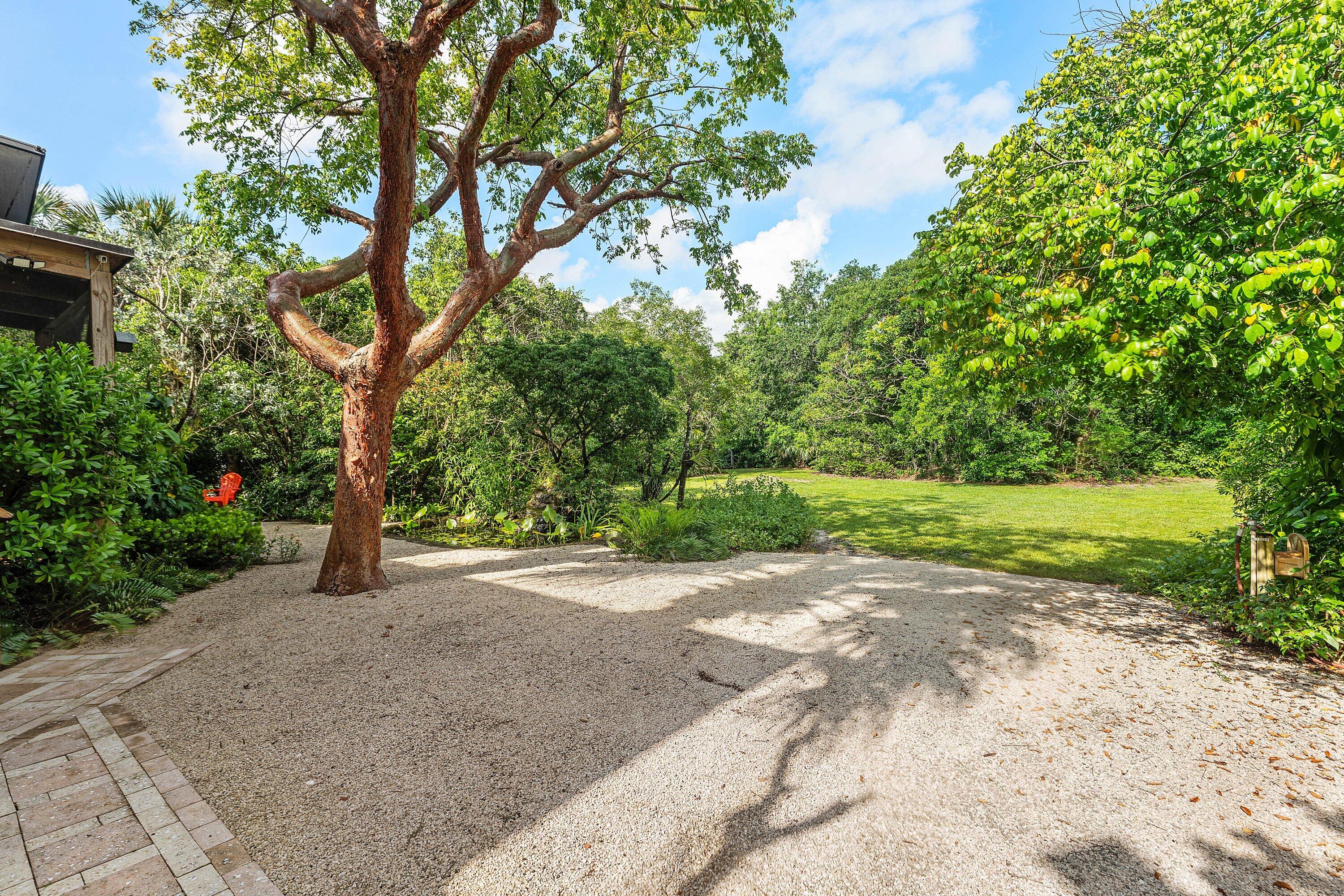 main property photo 47