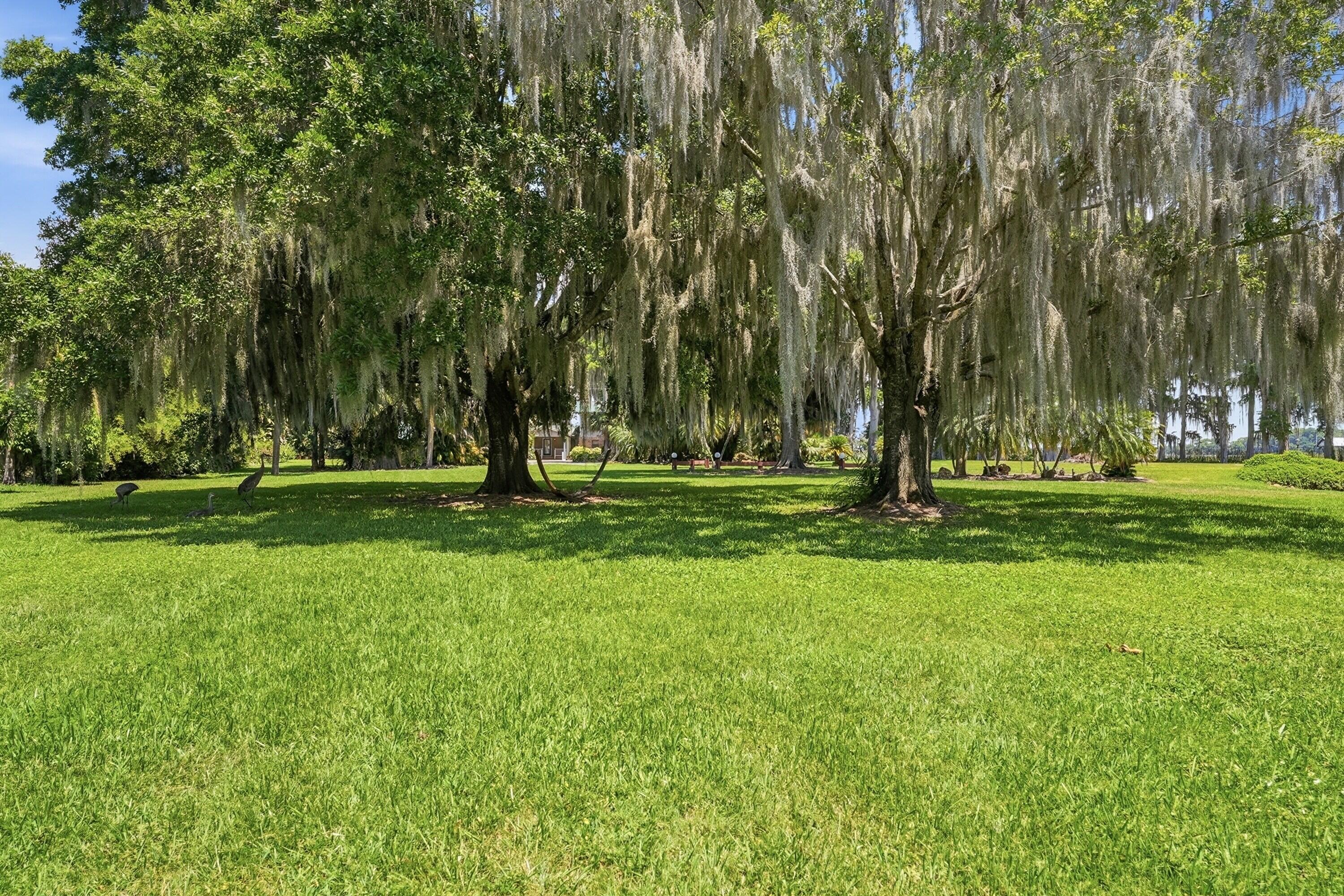 main property photo 59
