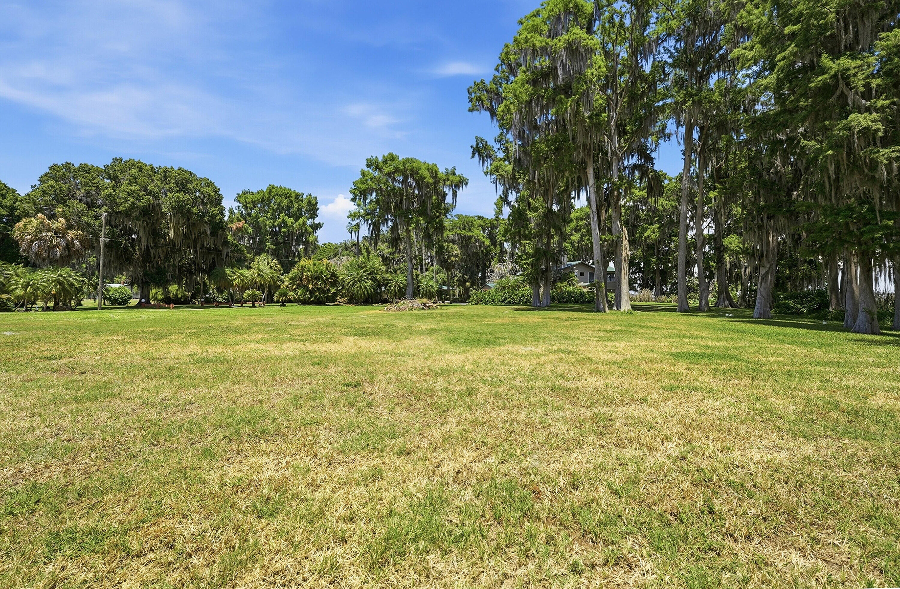 main property photo 61